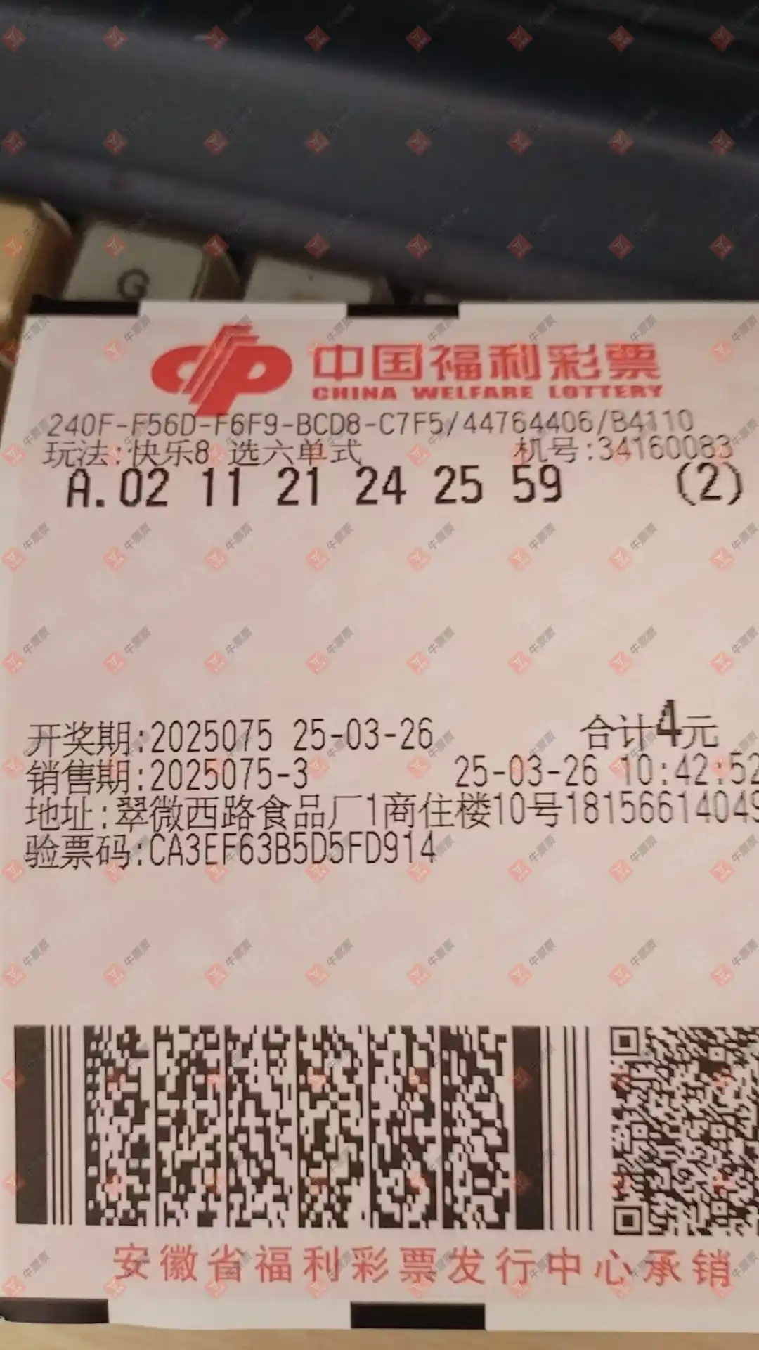 牛票票