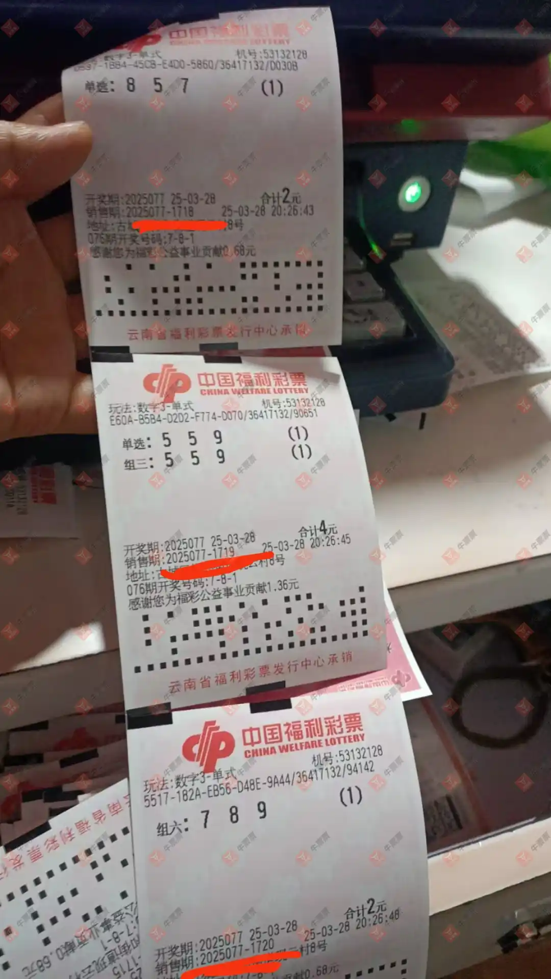 牛票票