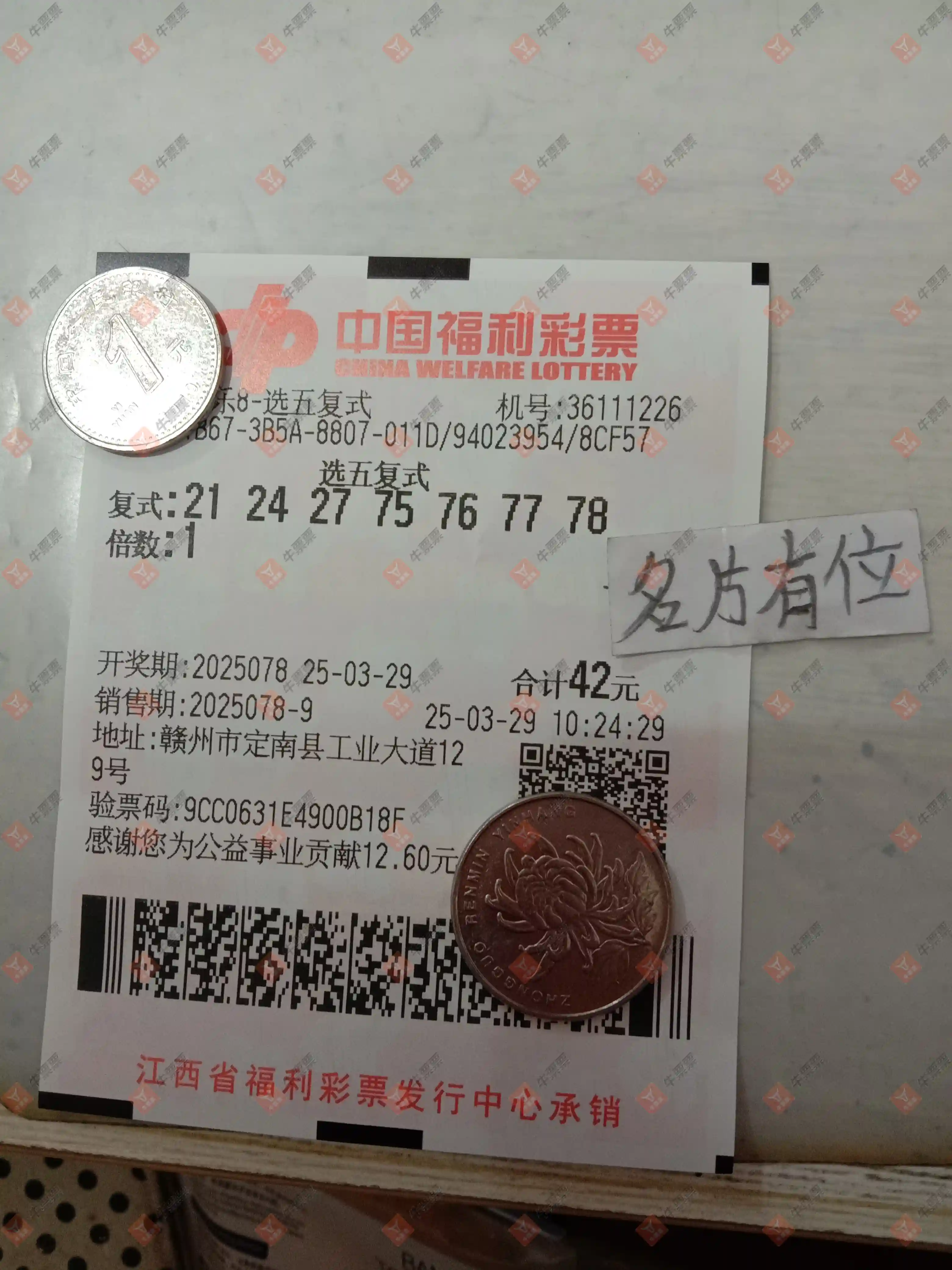牛票票