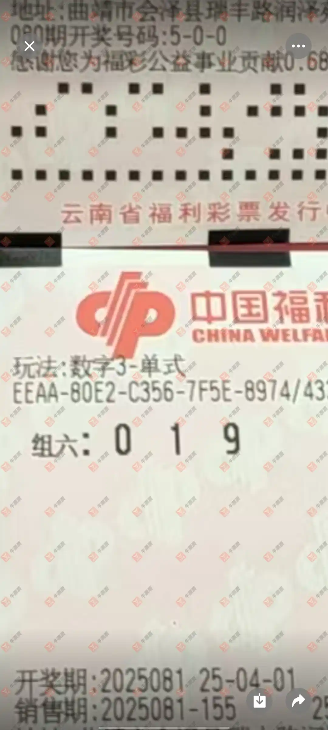 牛票票