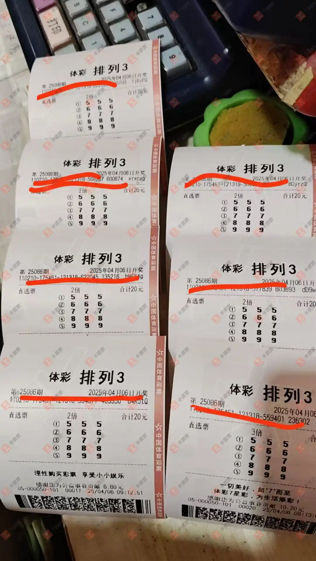 牛票票