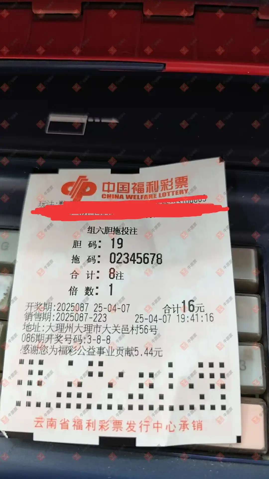 牛票票