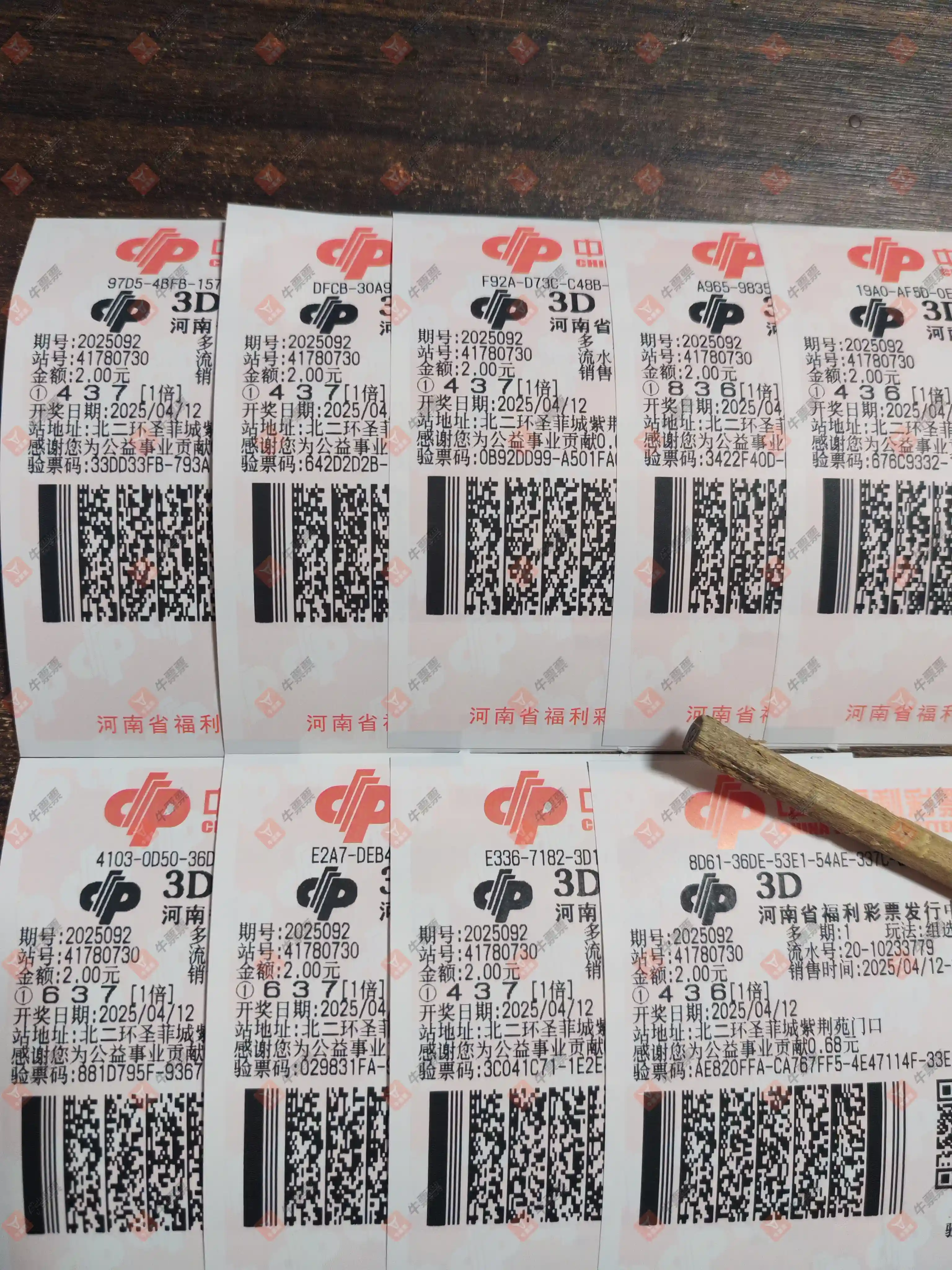 牛票票