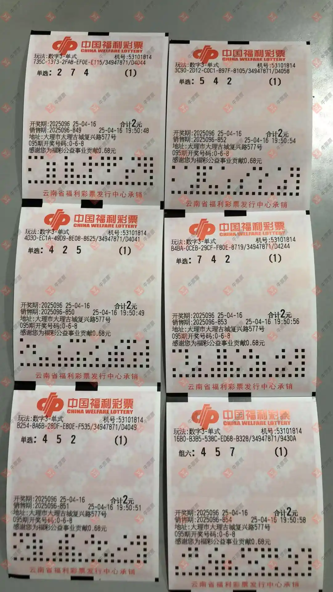 牛票票