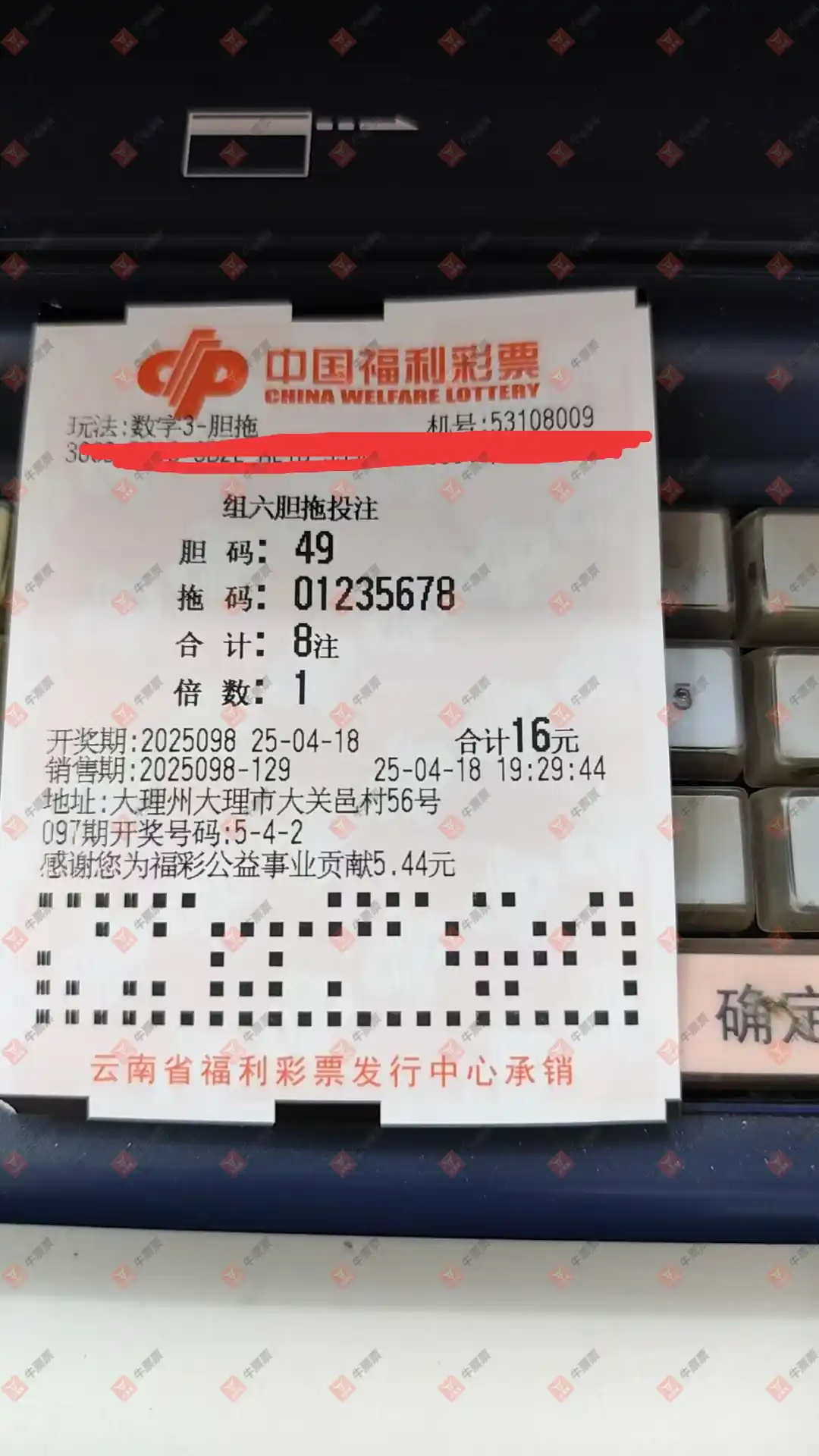 牛票票