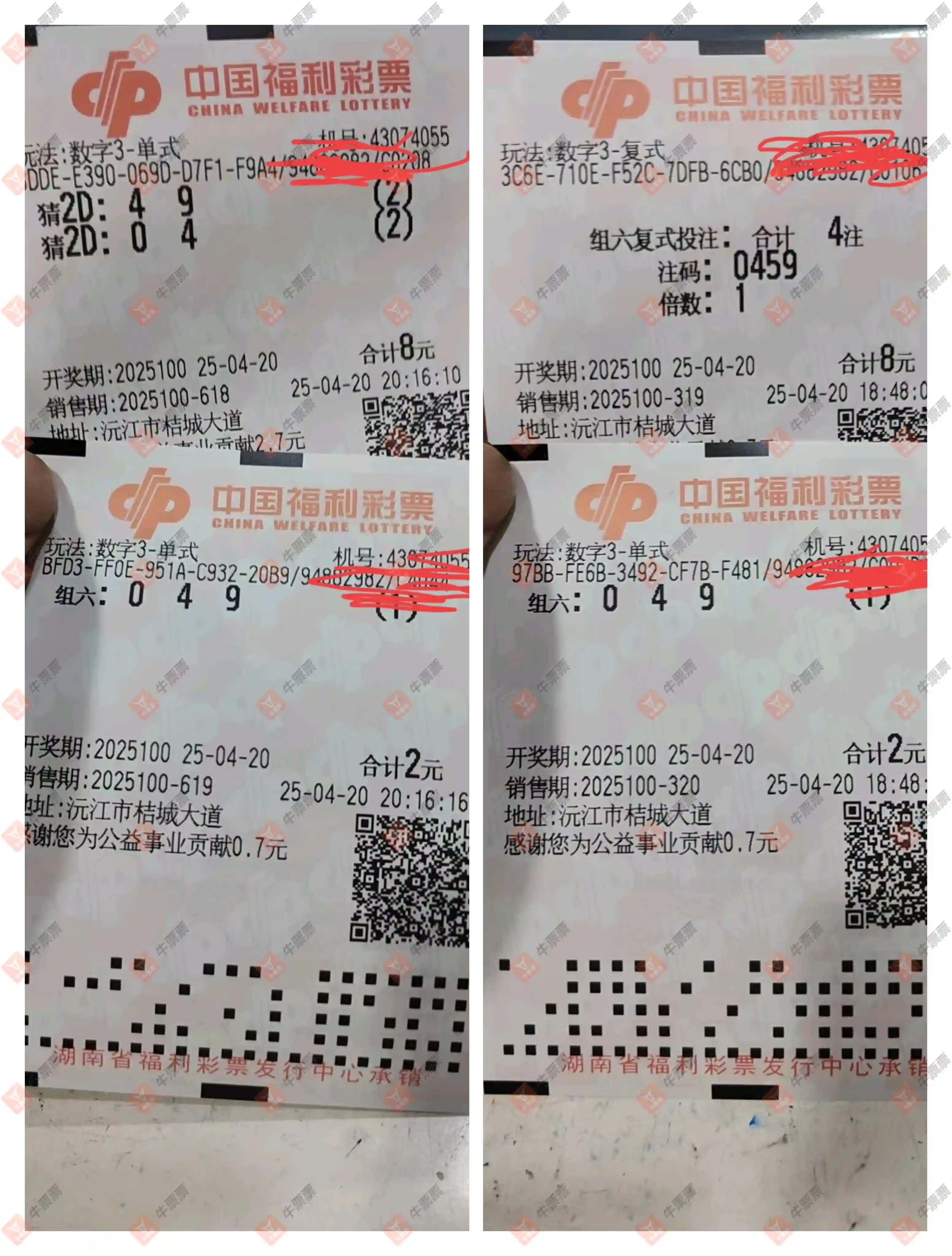 牛票票