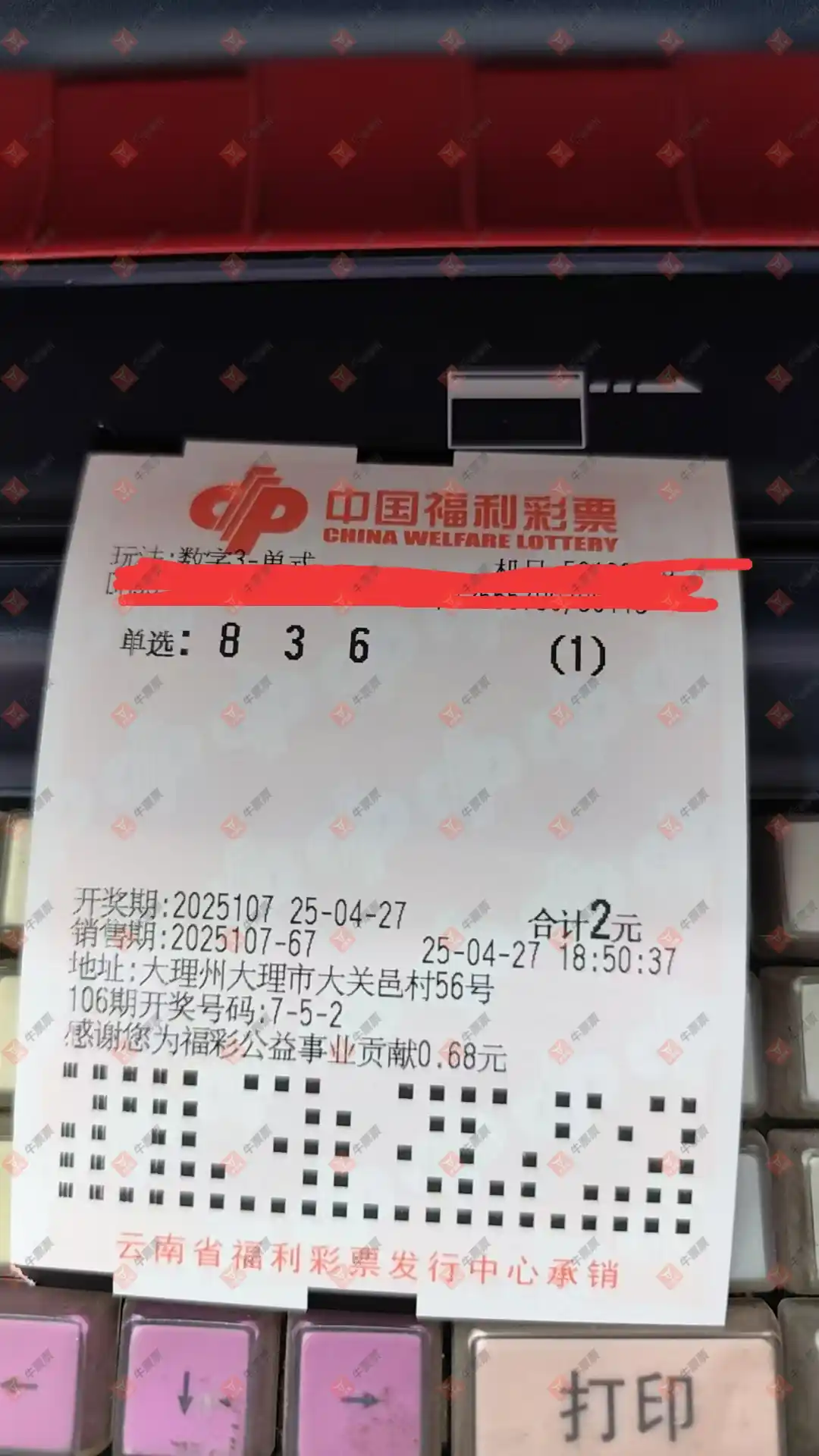 牛票票