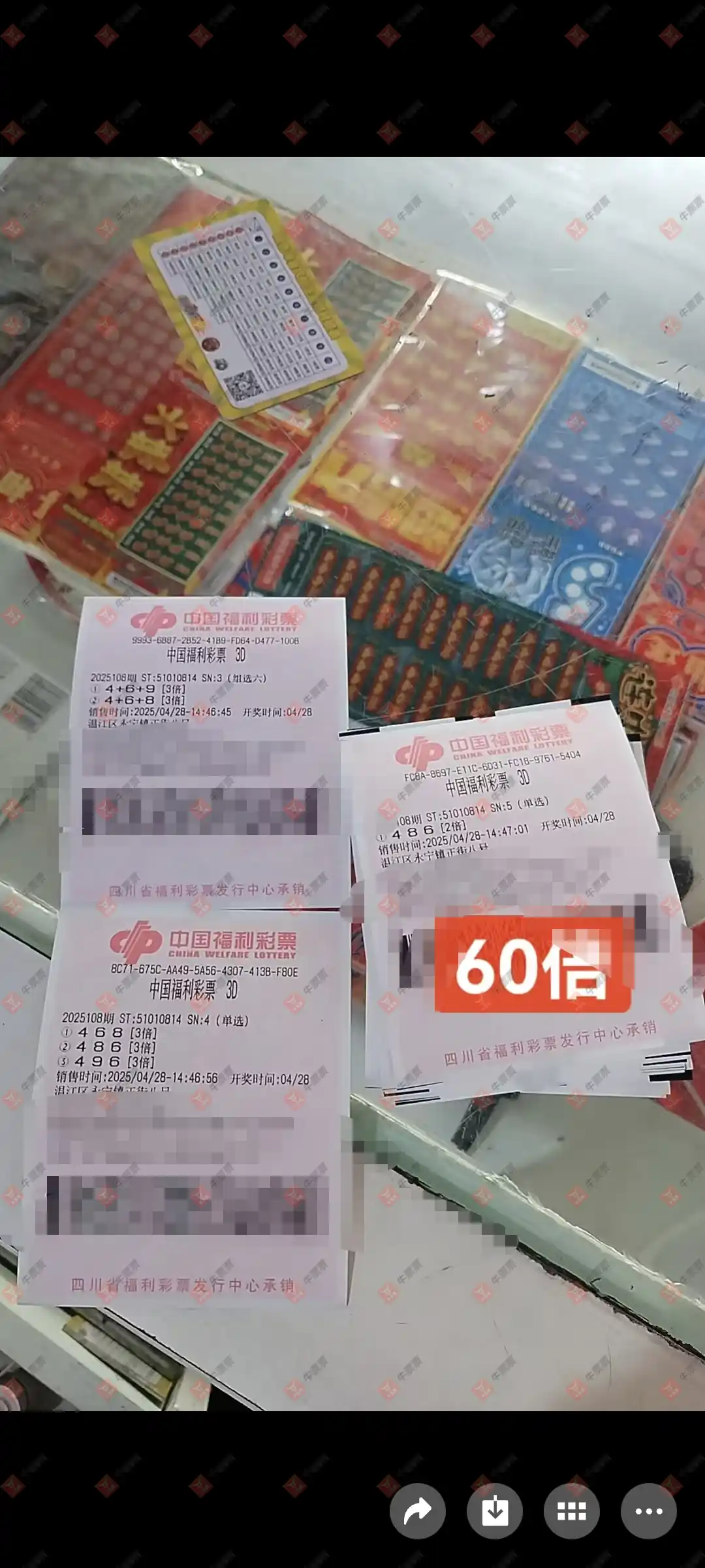 牛票票