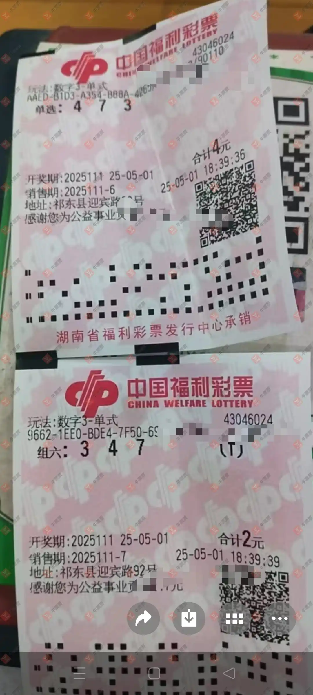 牛票票