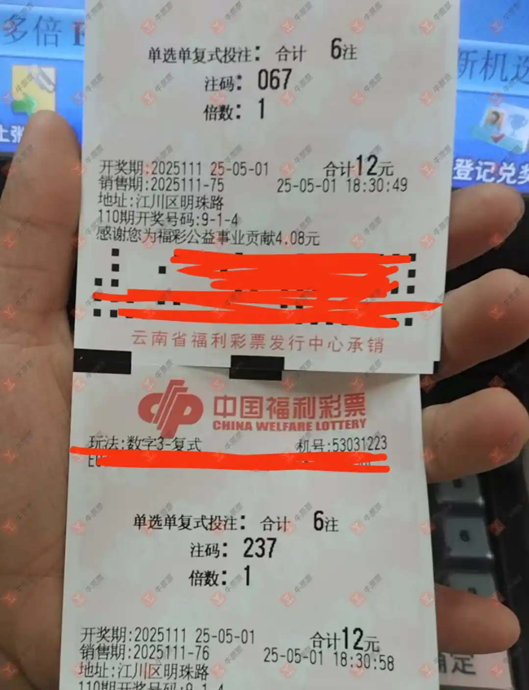 牛票票