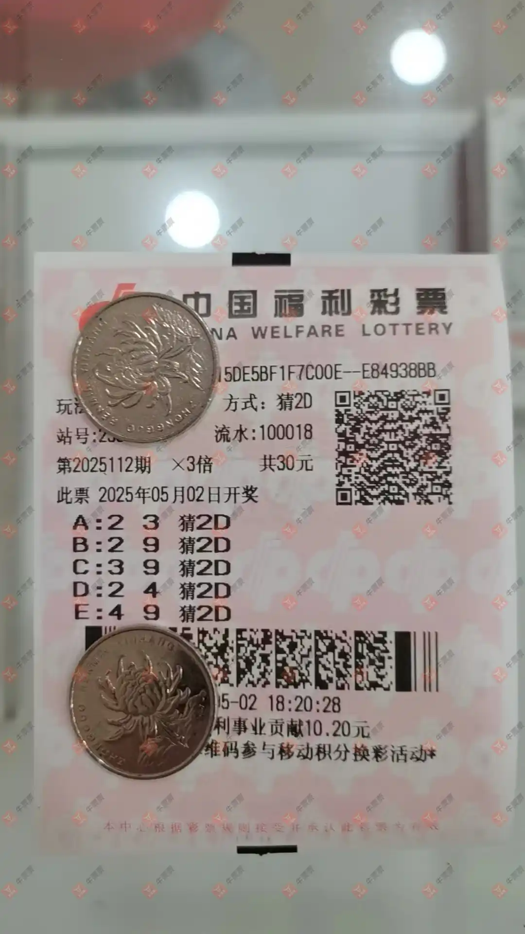牛票票