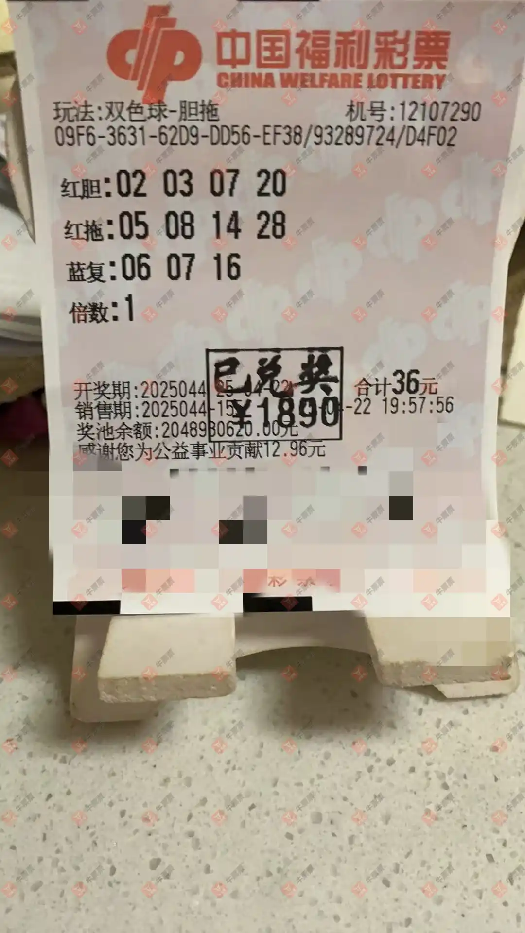 牛票票