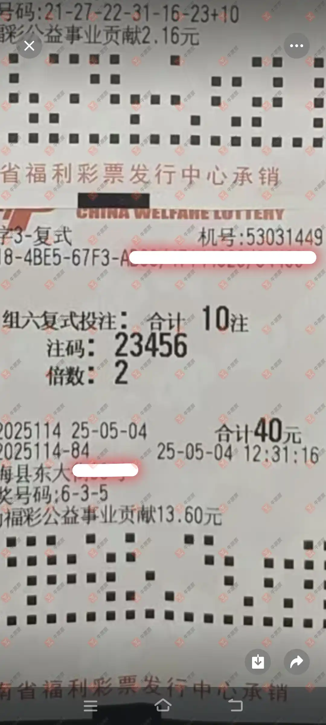 牛票票