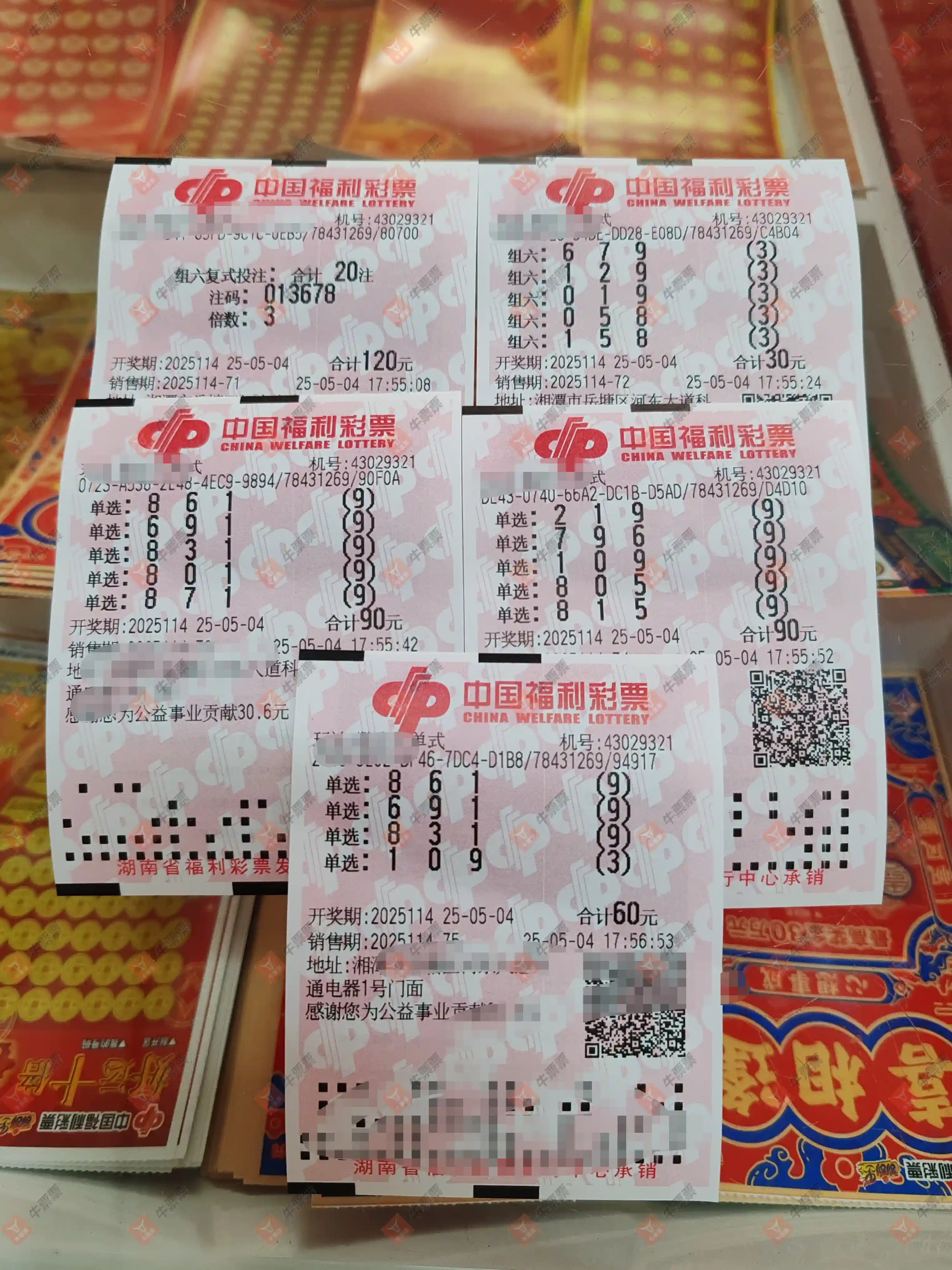 牛票票
