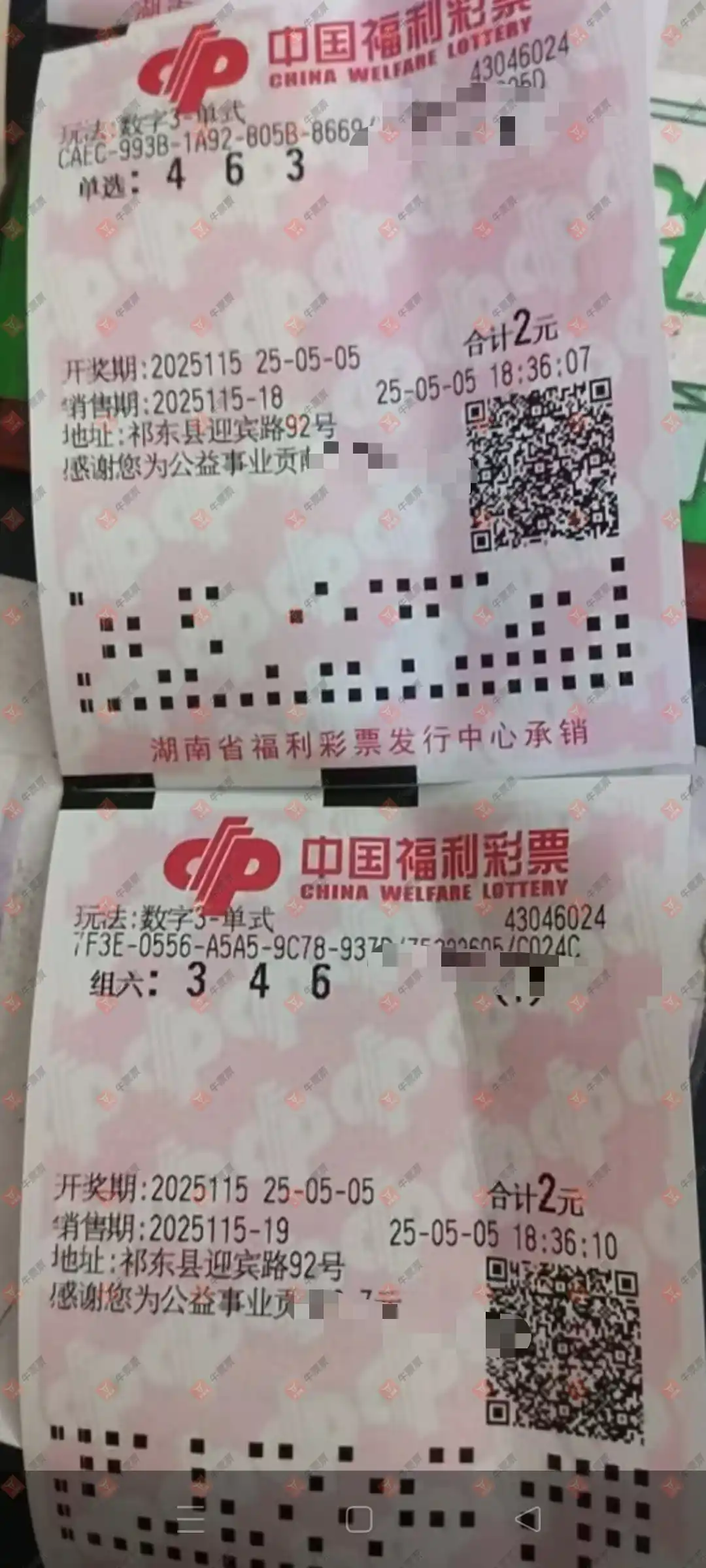 牛票票