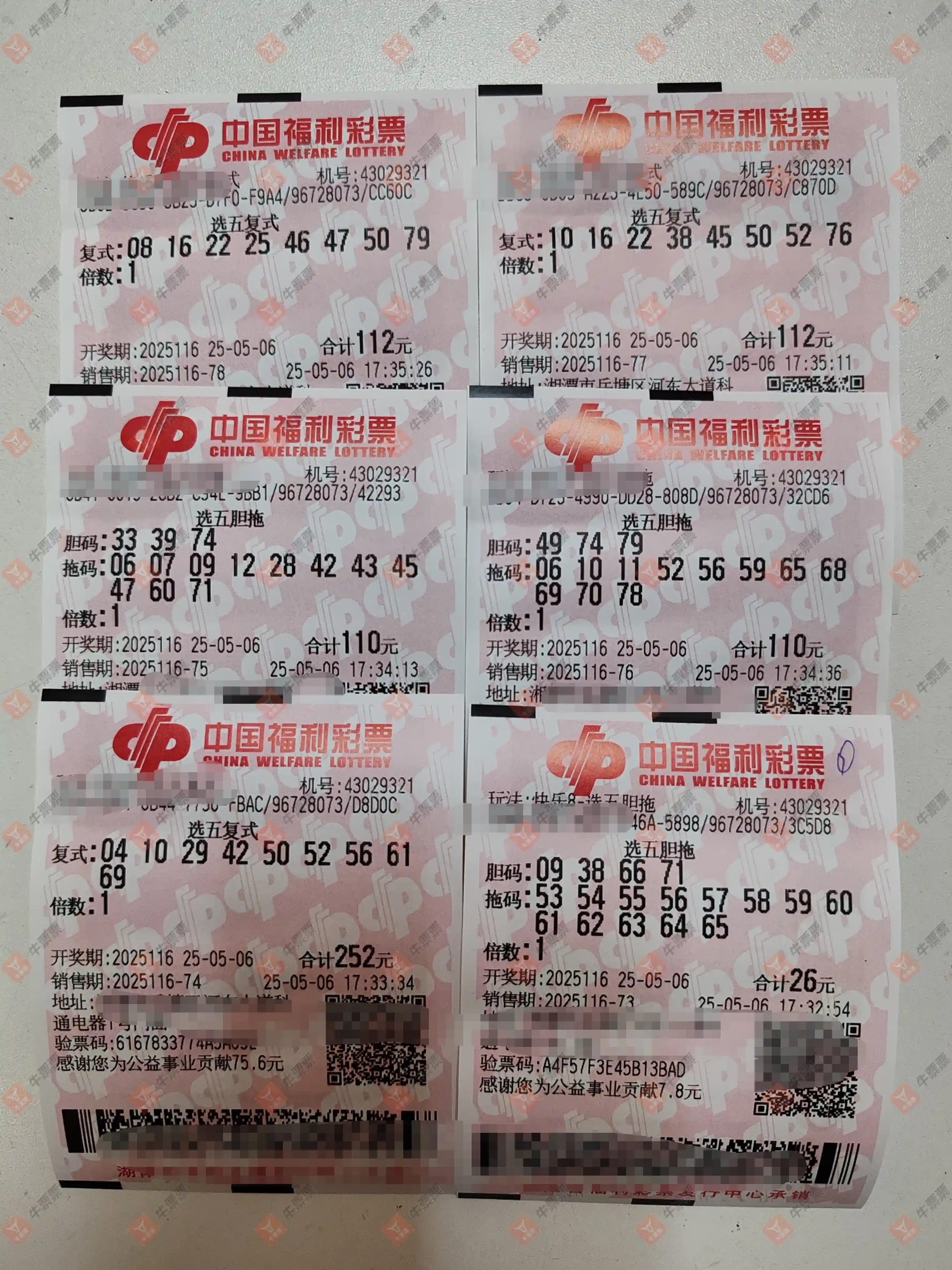 牛票票
