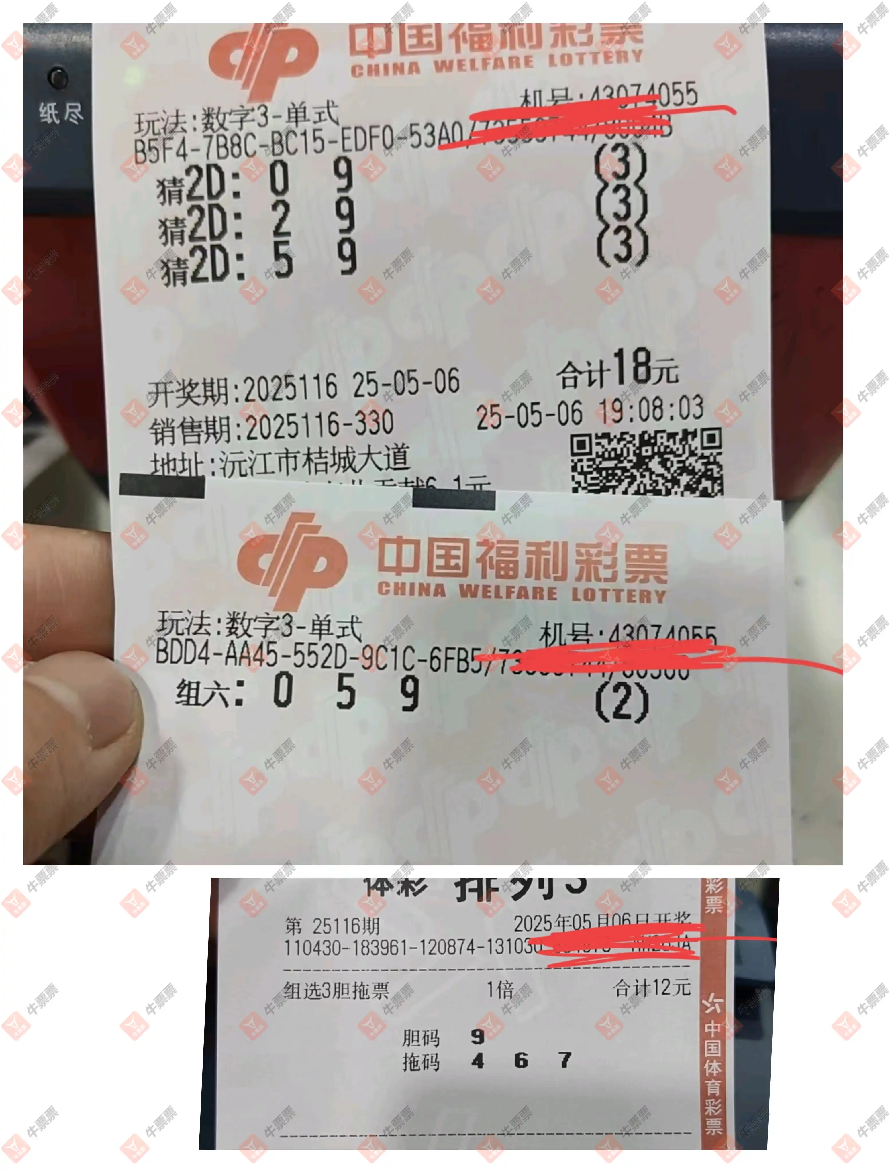 牛票票