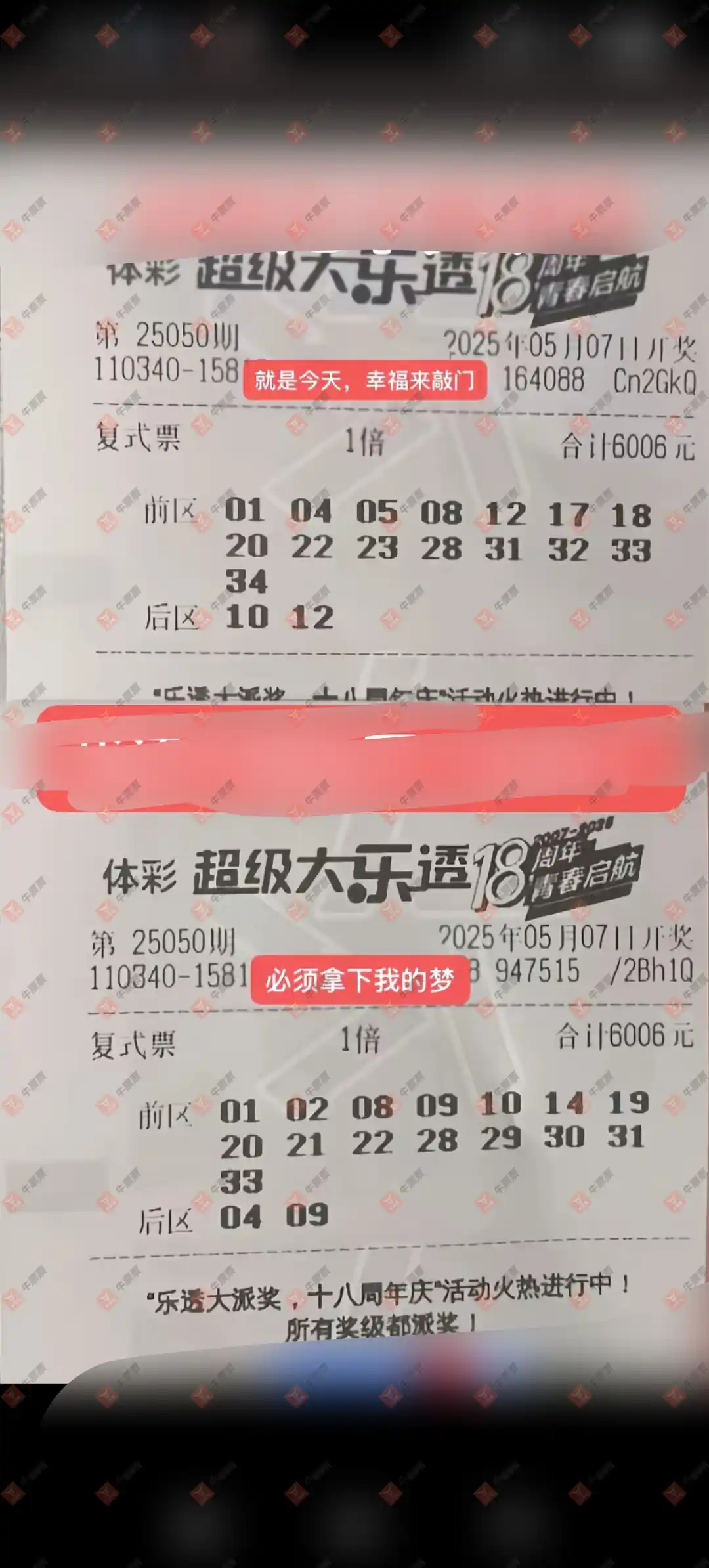 牛票票