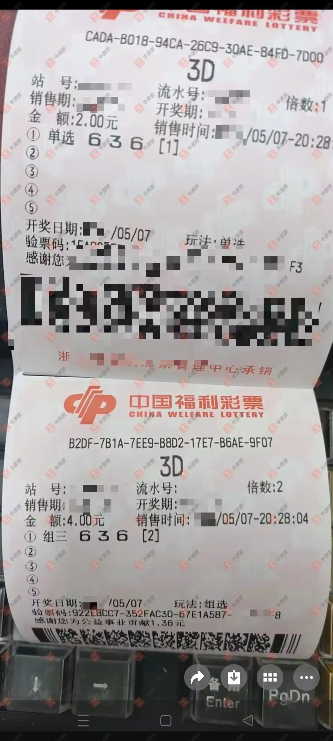 牛票票