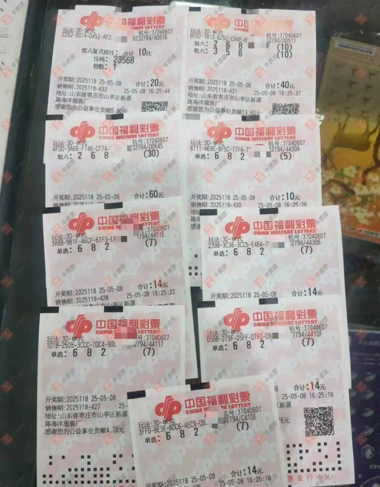 牛票票