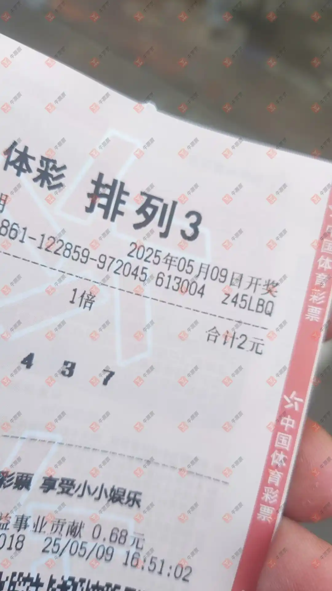 牛票票