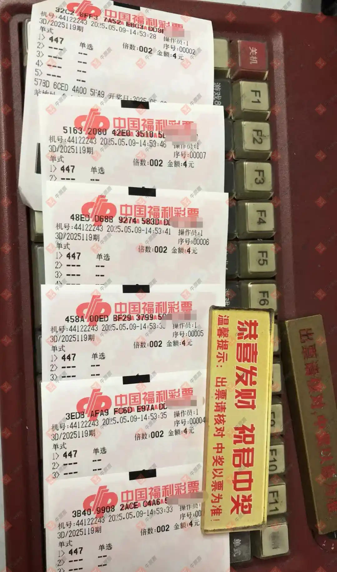 牛票票