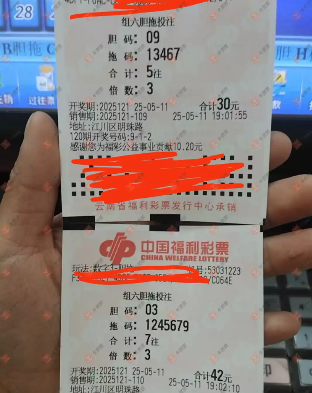 牛票票