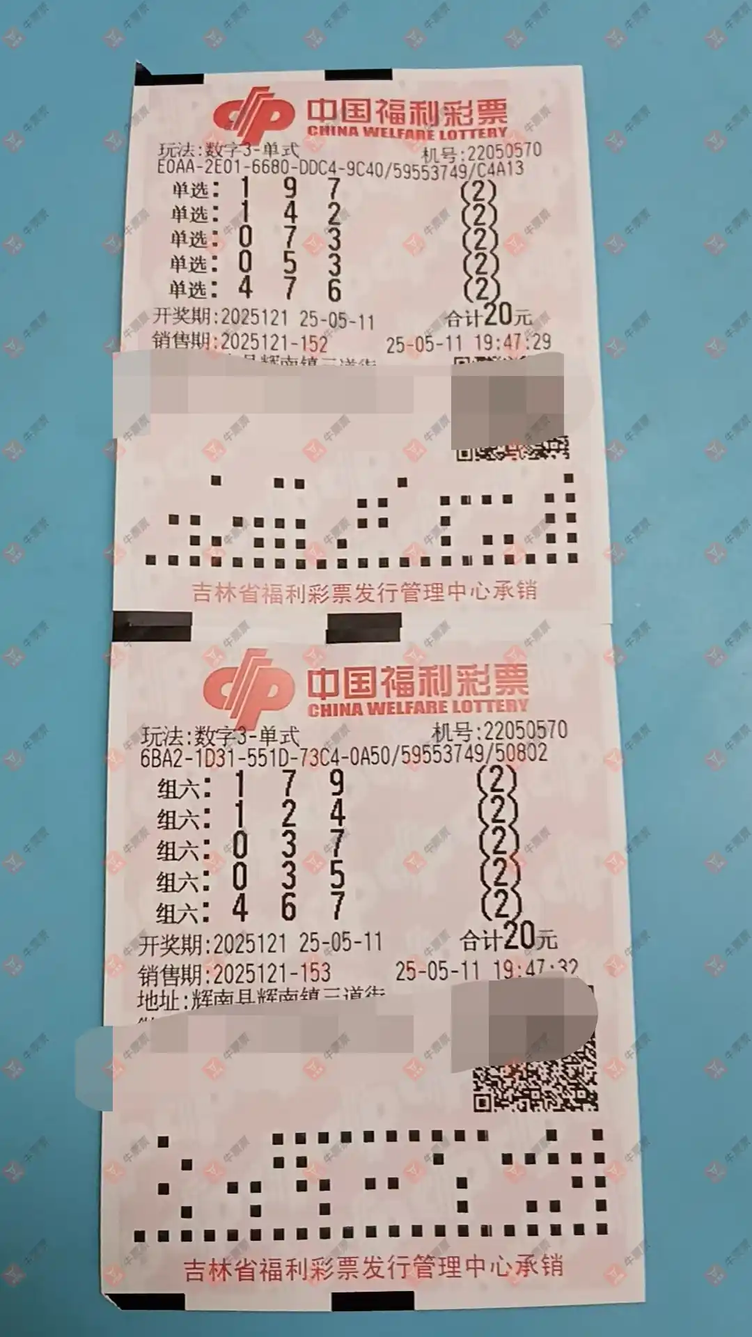 牛票票