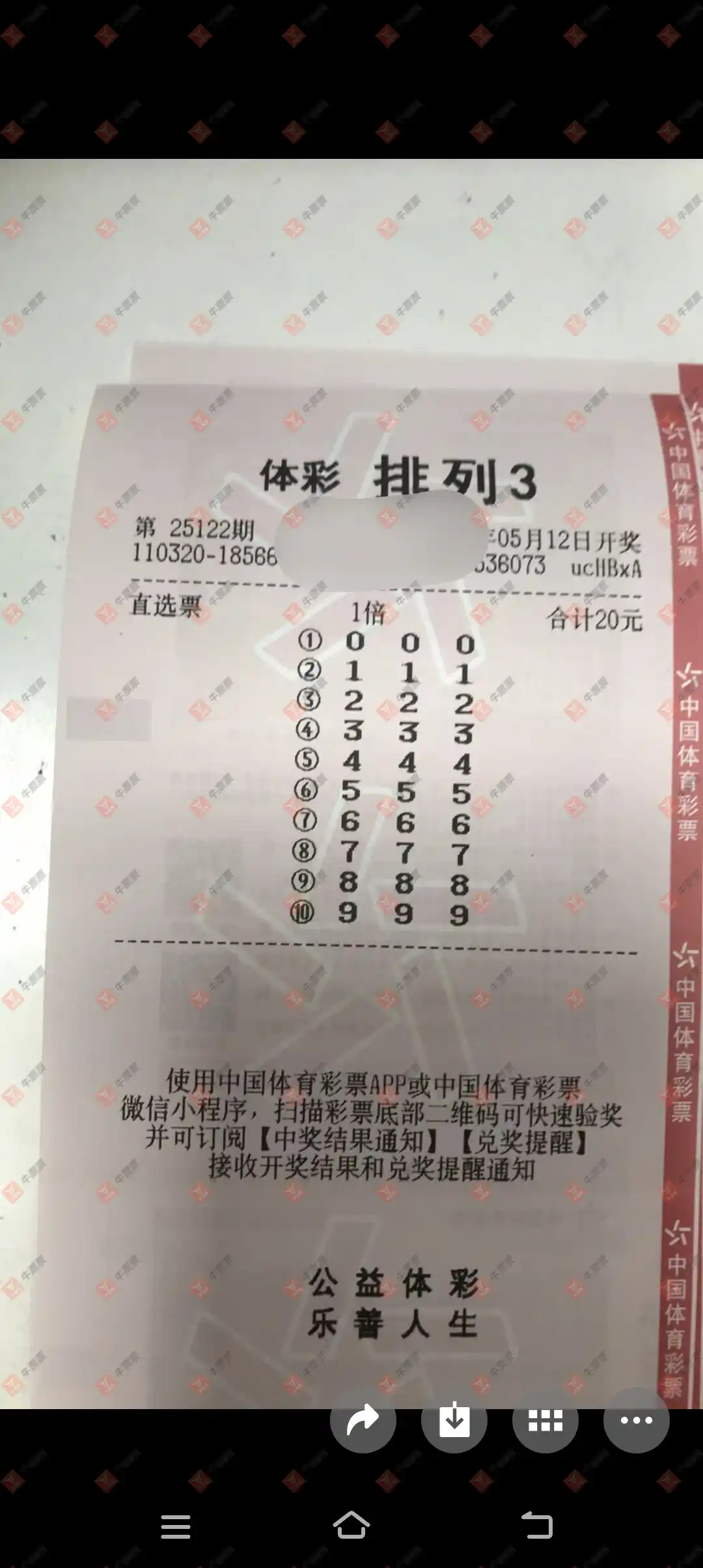 牛票票