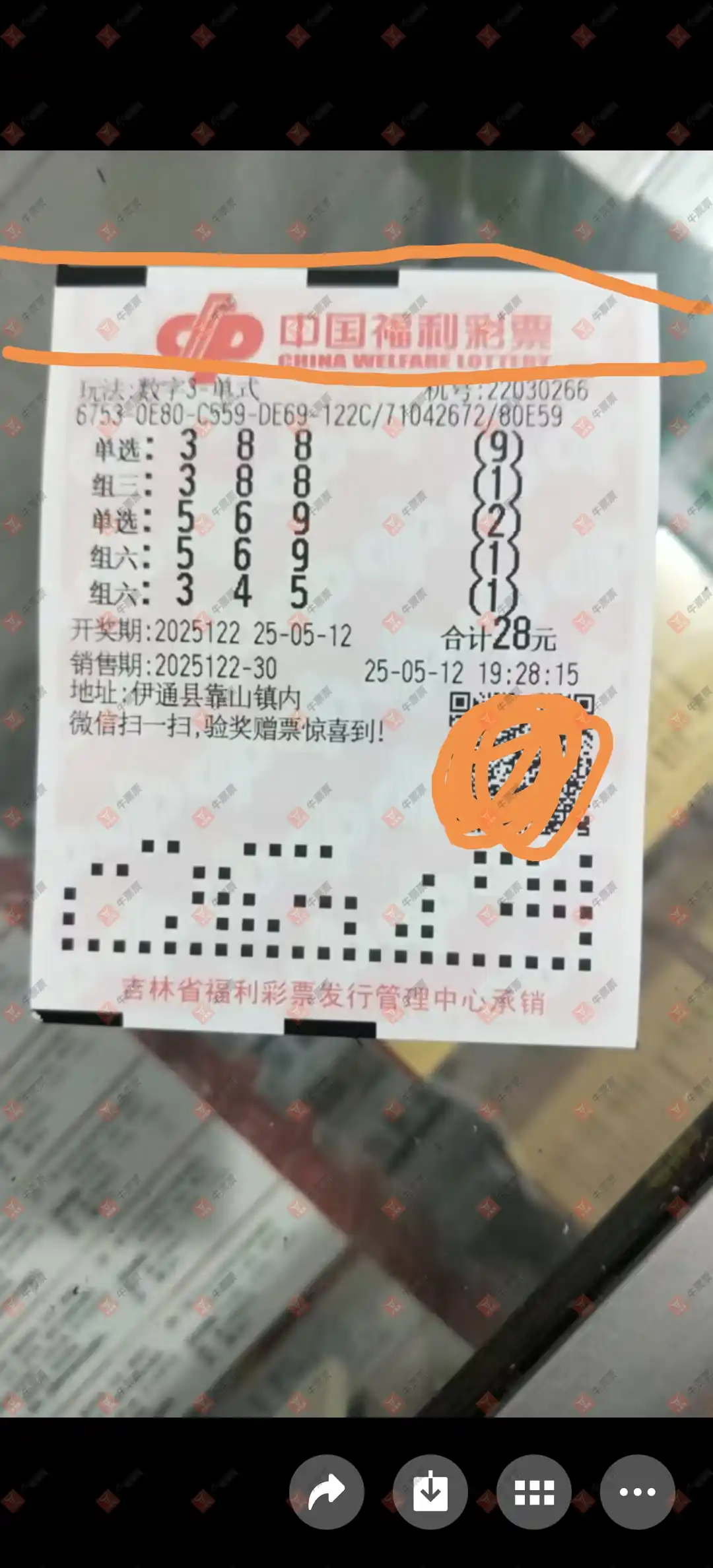 牛票票