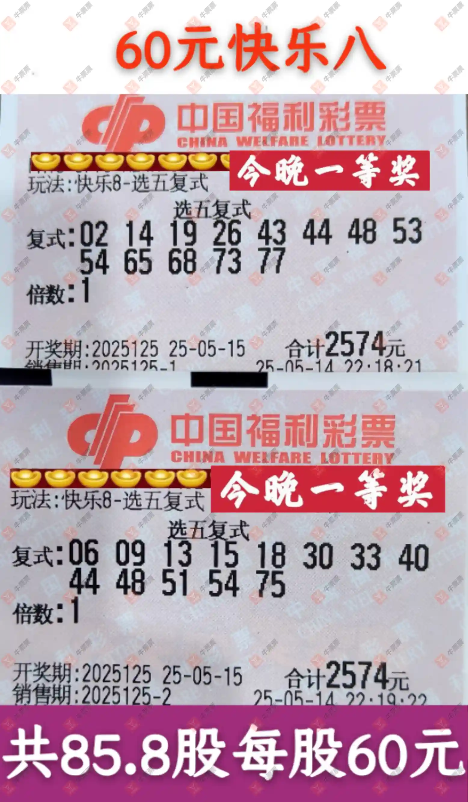 牛票票