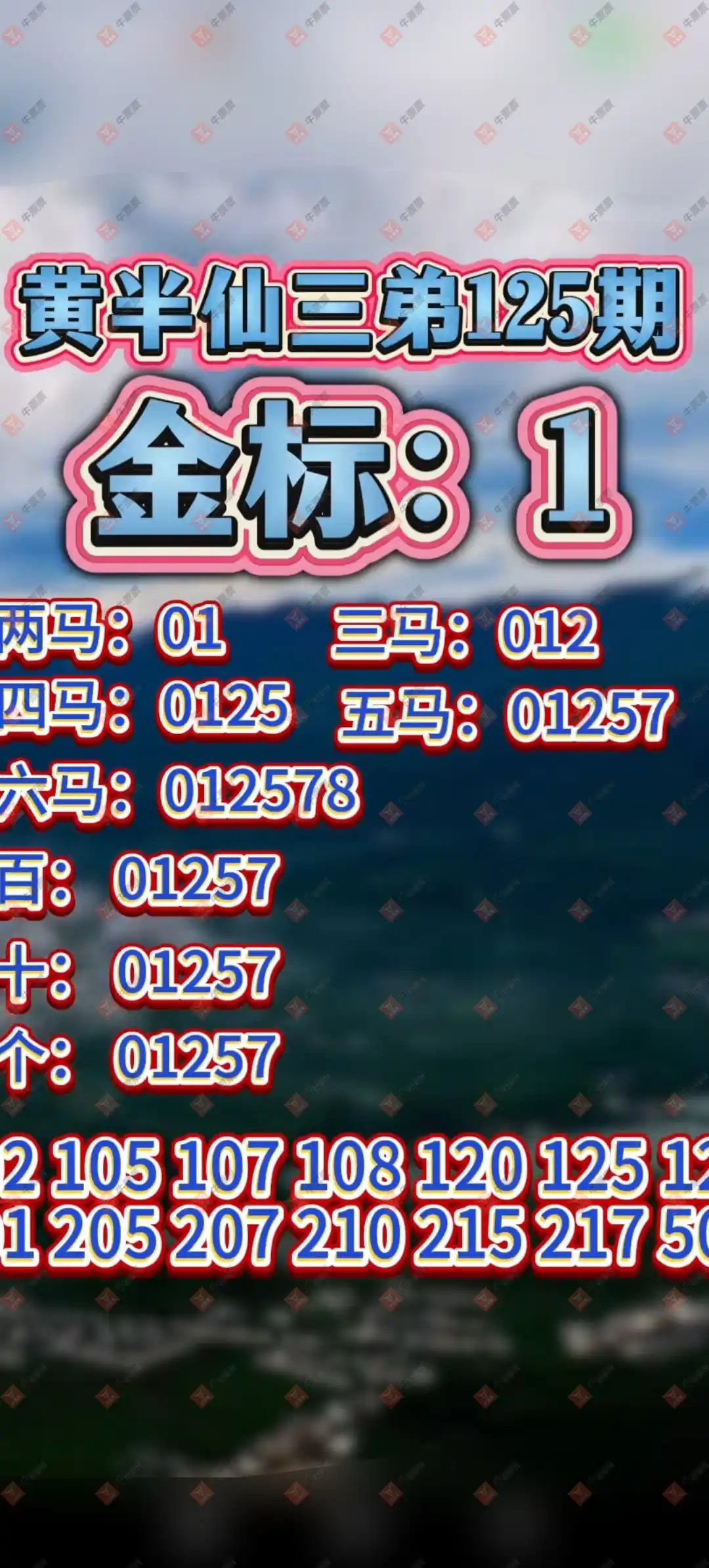牛票票
