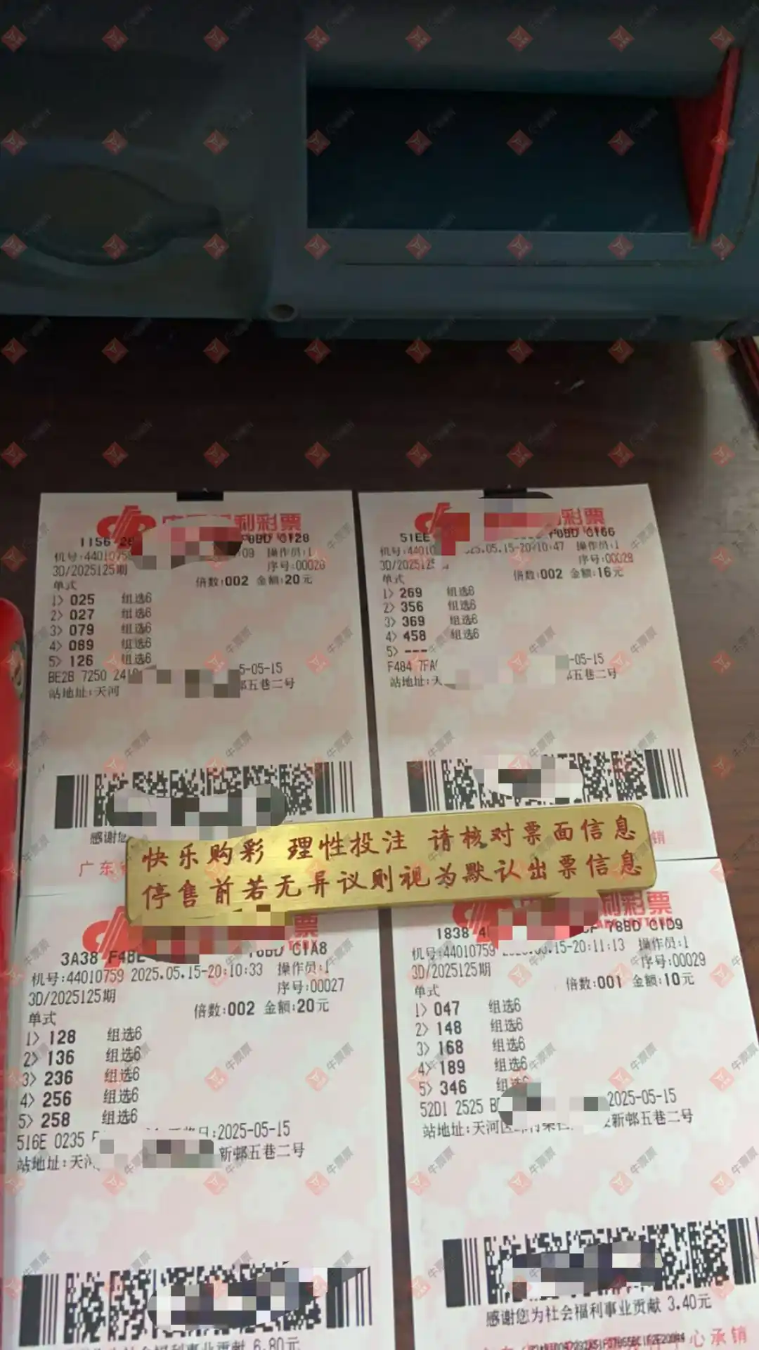牛票票