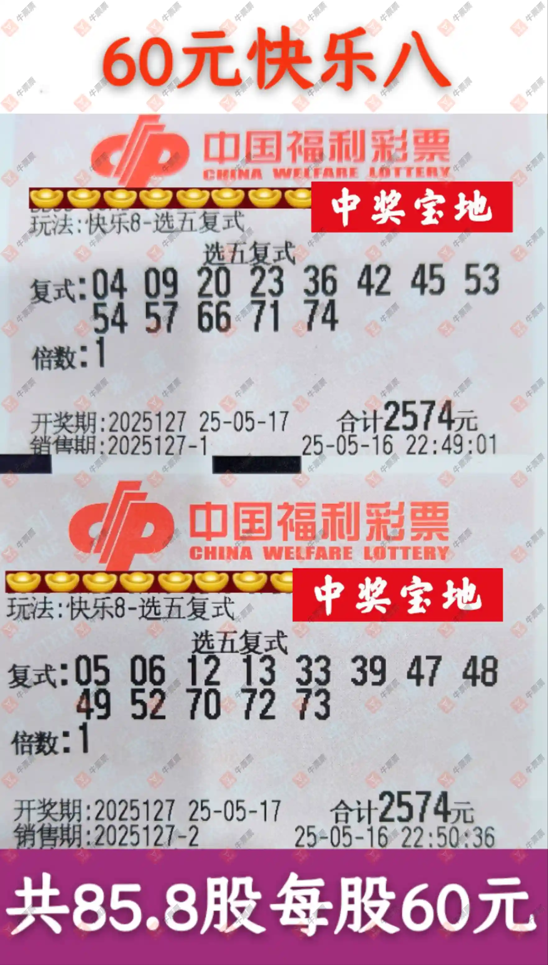 牛票票