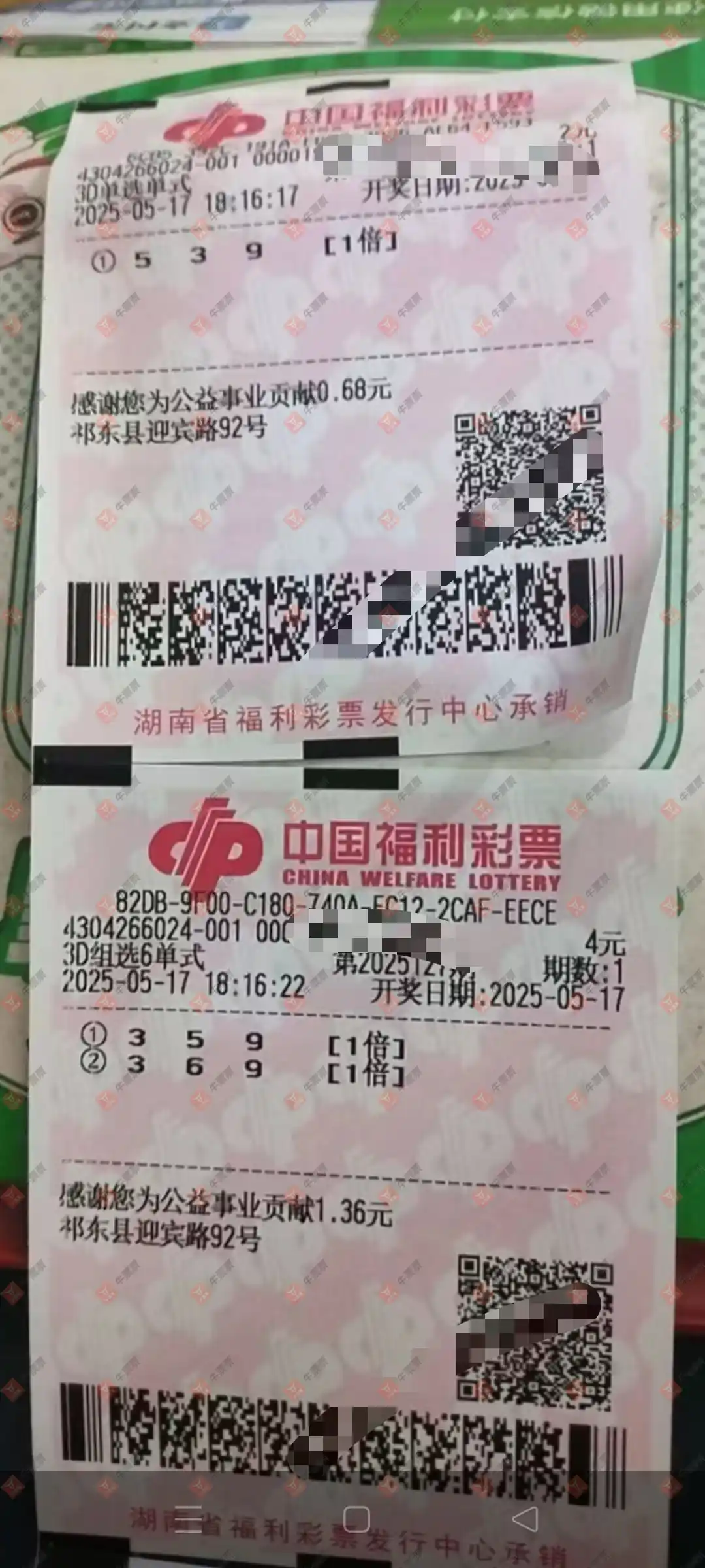 牛票票