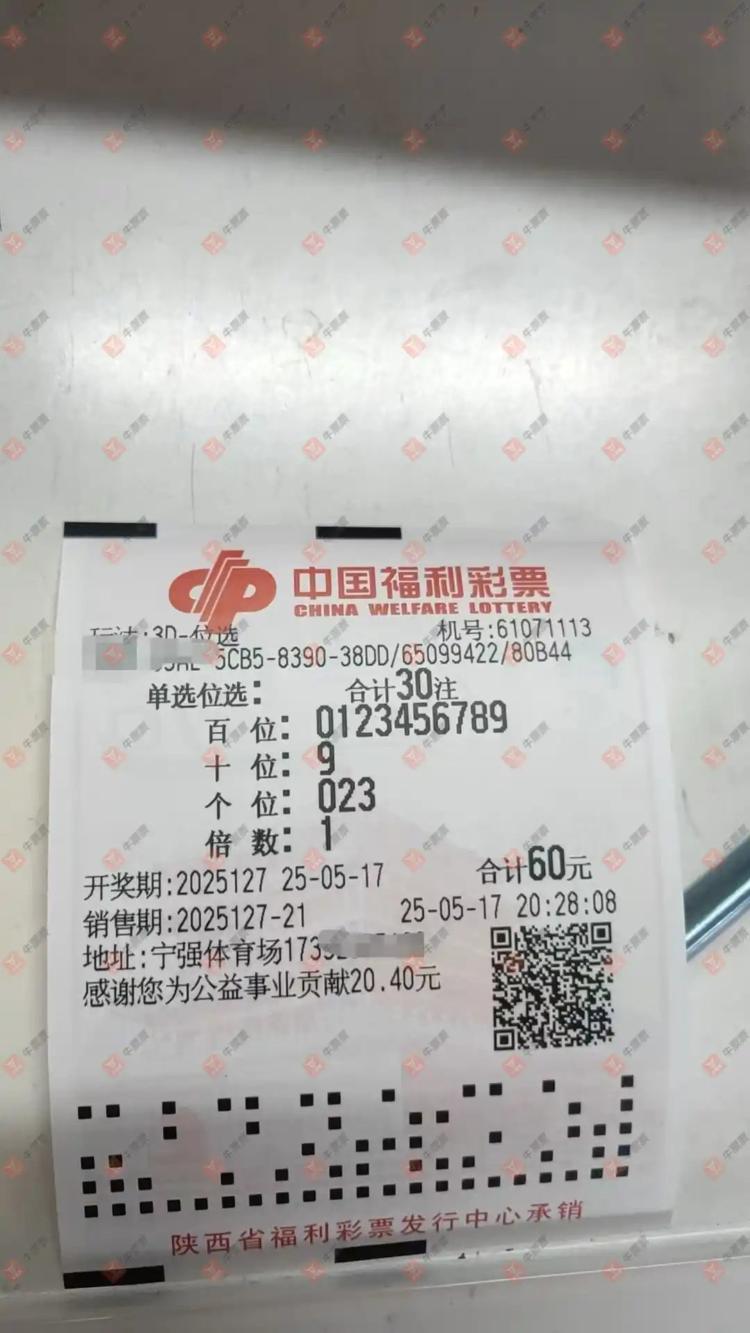 牛票票