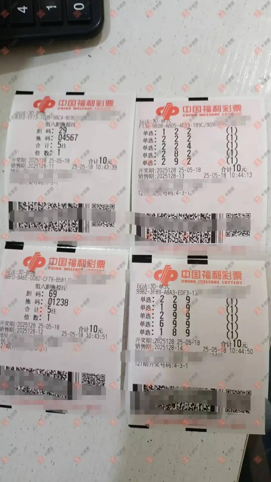 牛票票