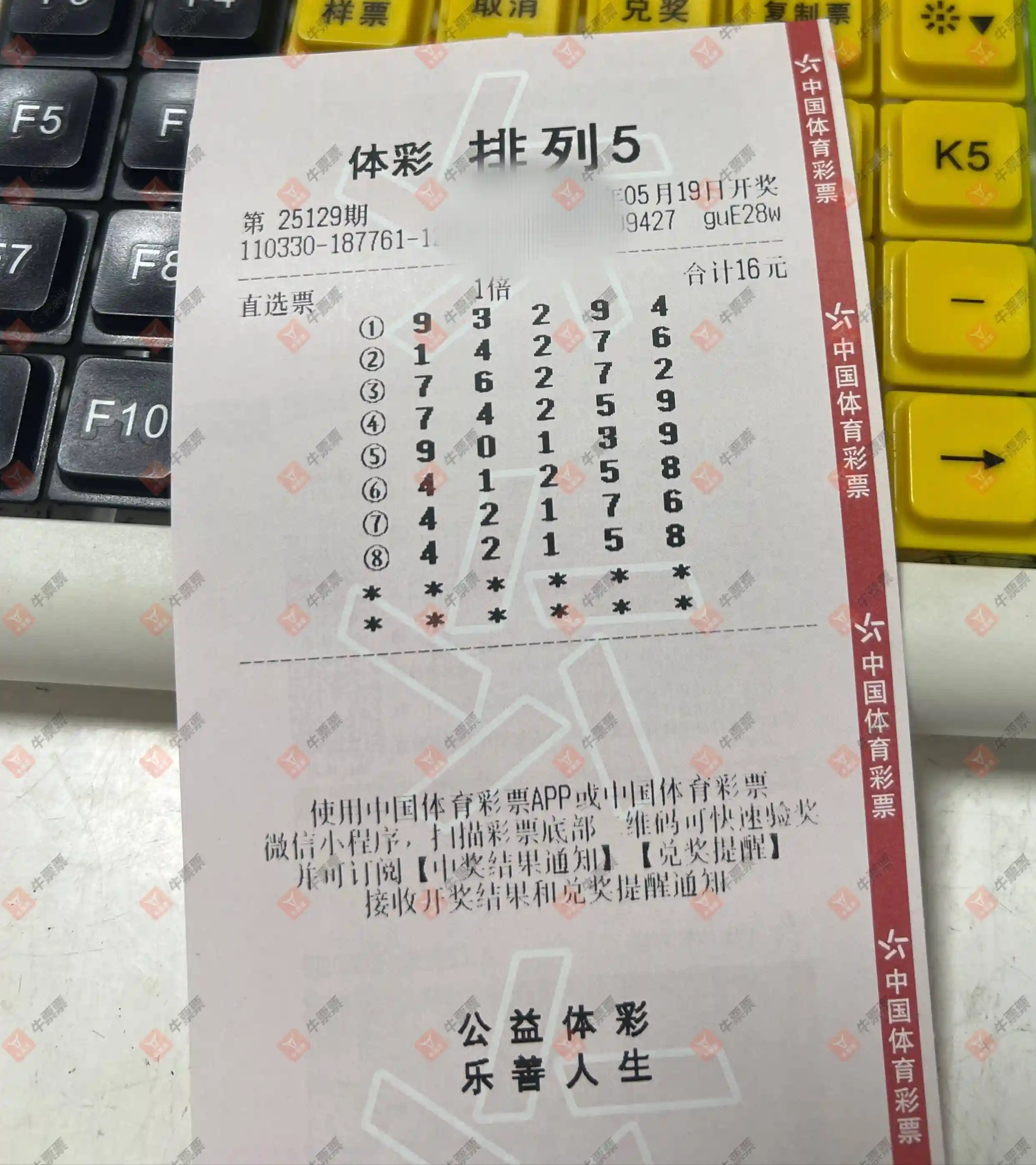 牛票票
