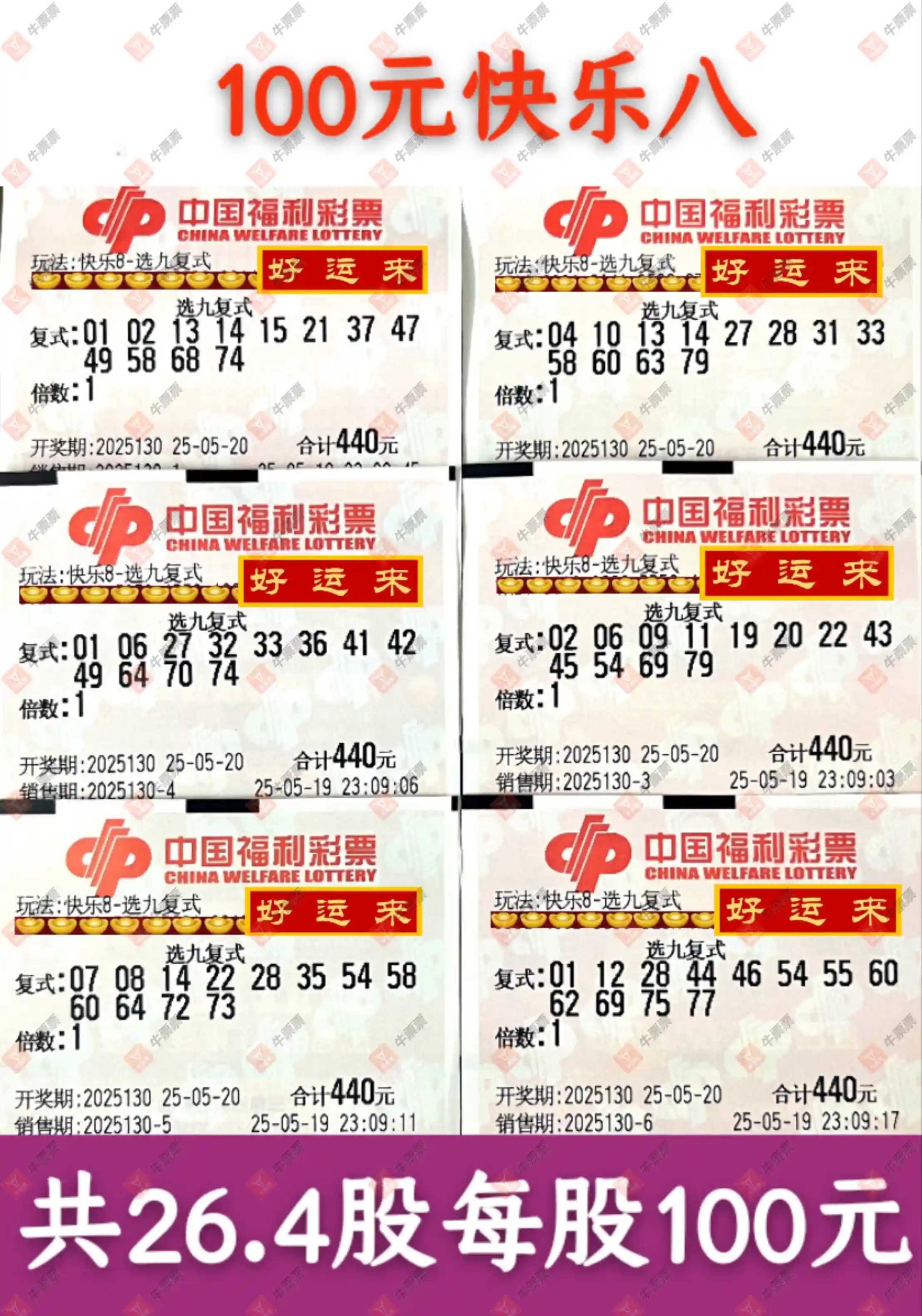 牛票票