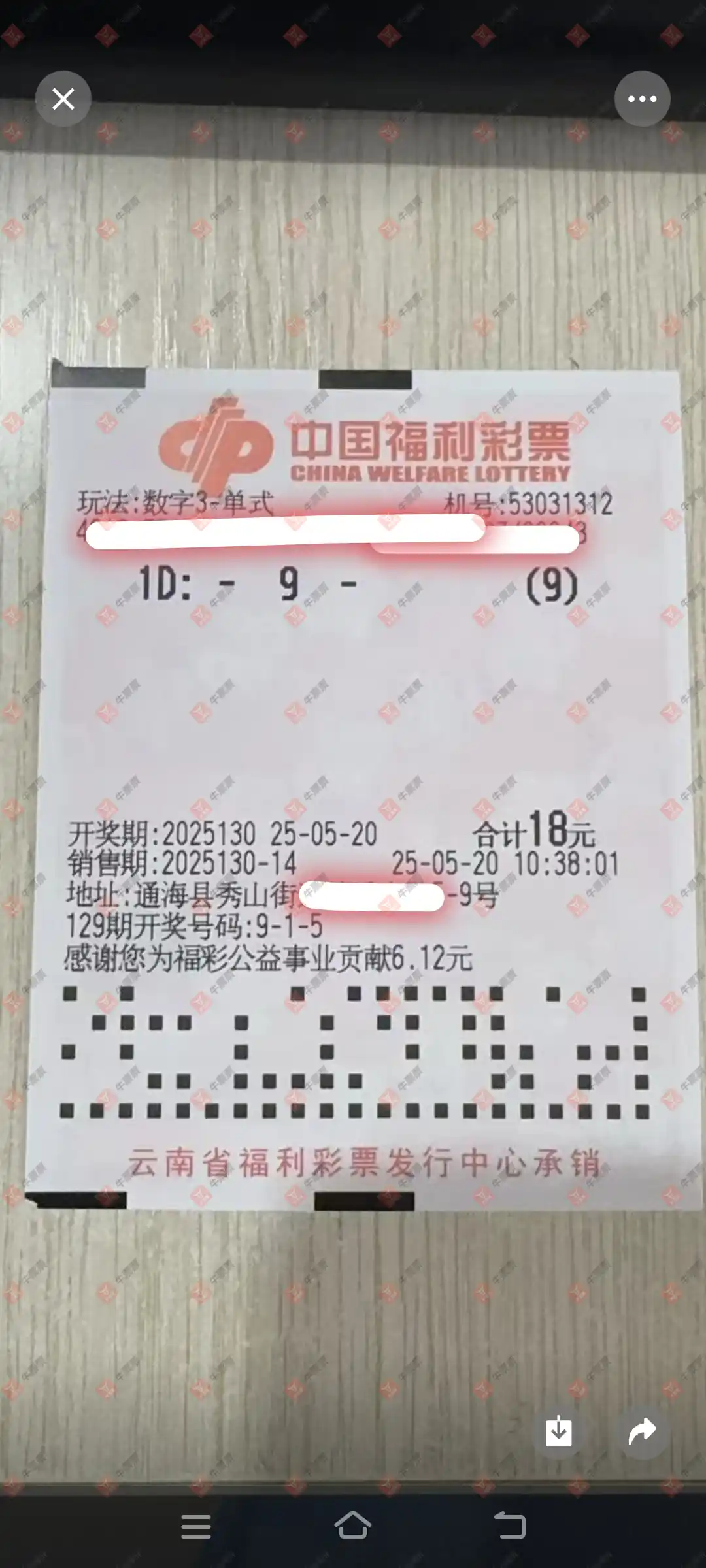牛票票