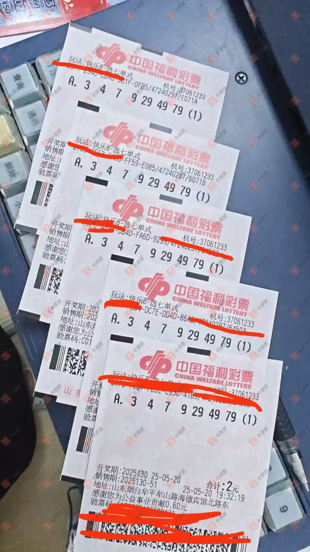 牛票票