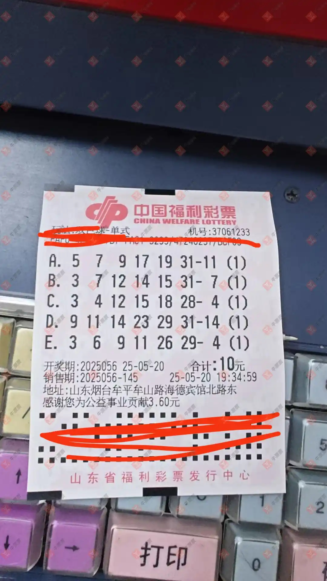 牛票票