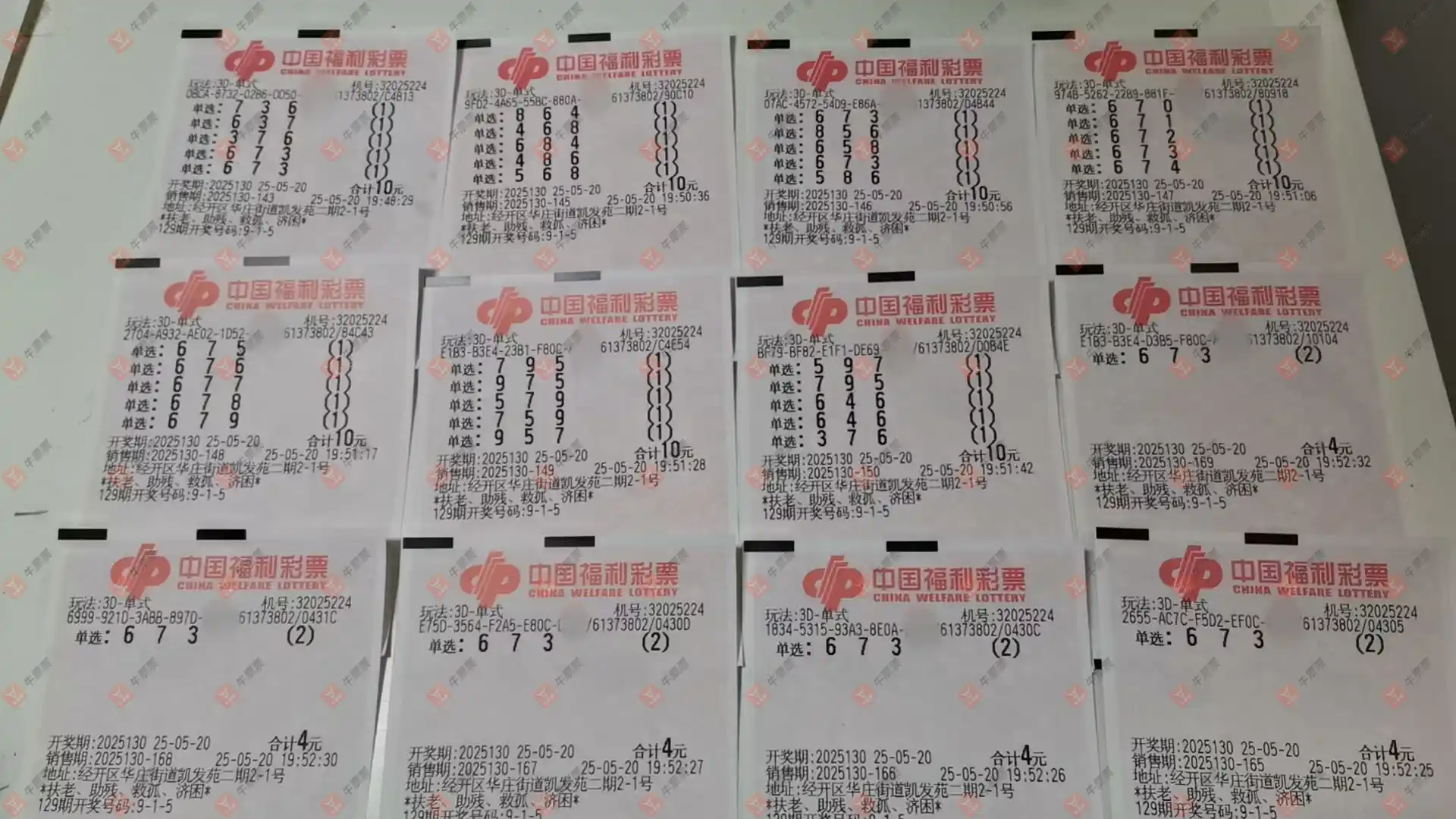 牛票票