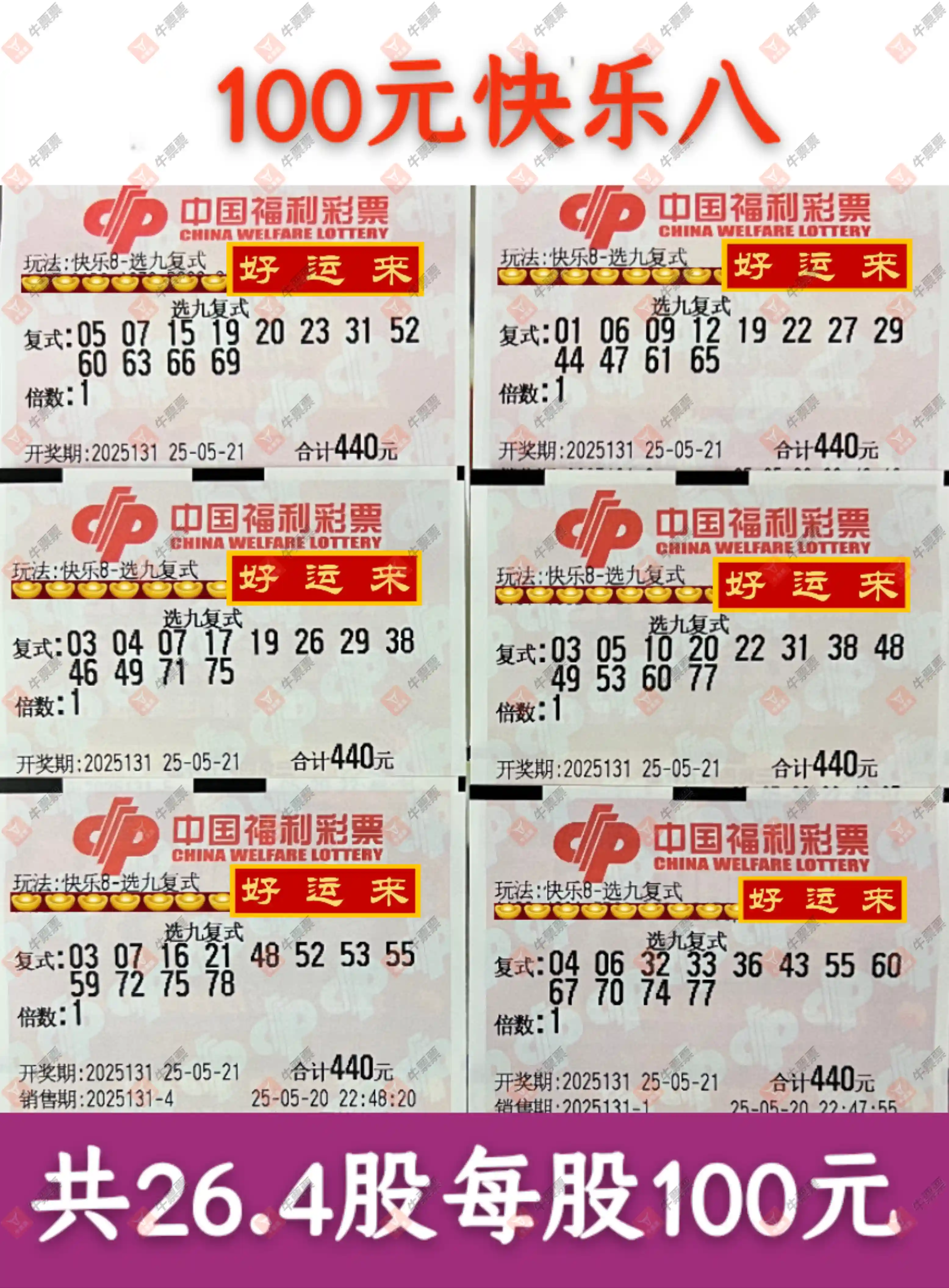 牛票票