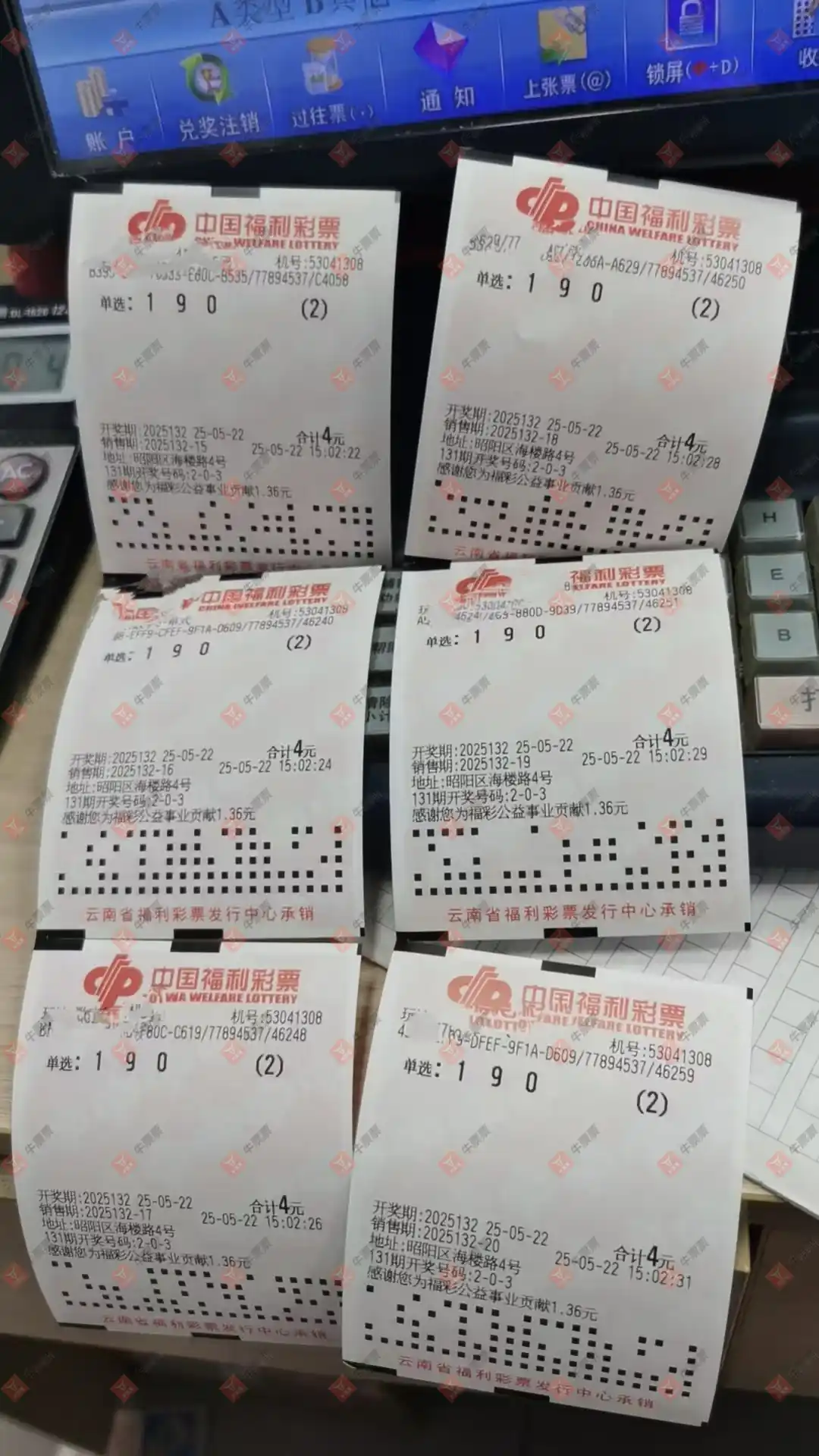 牛票票