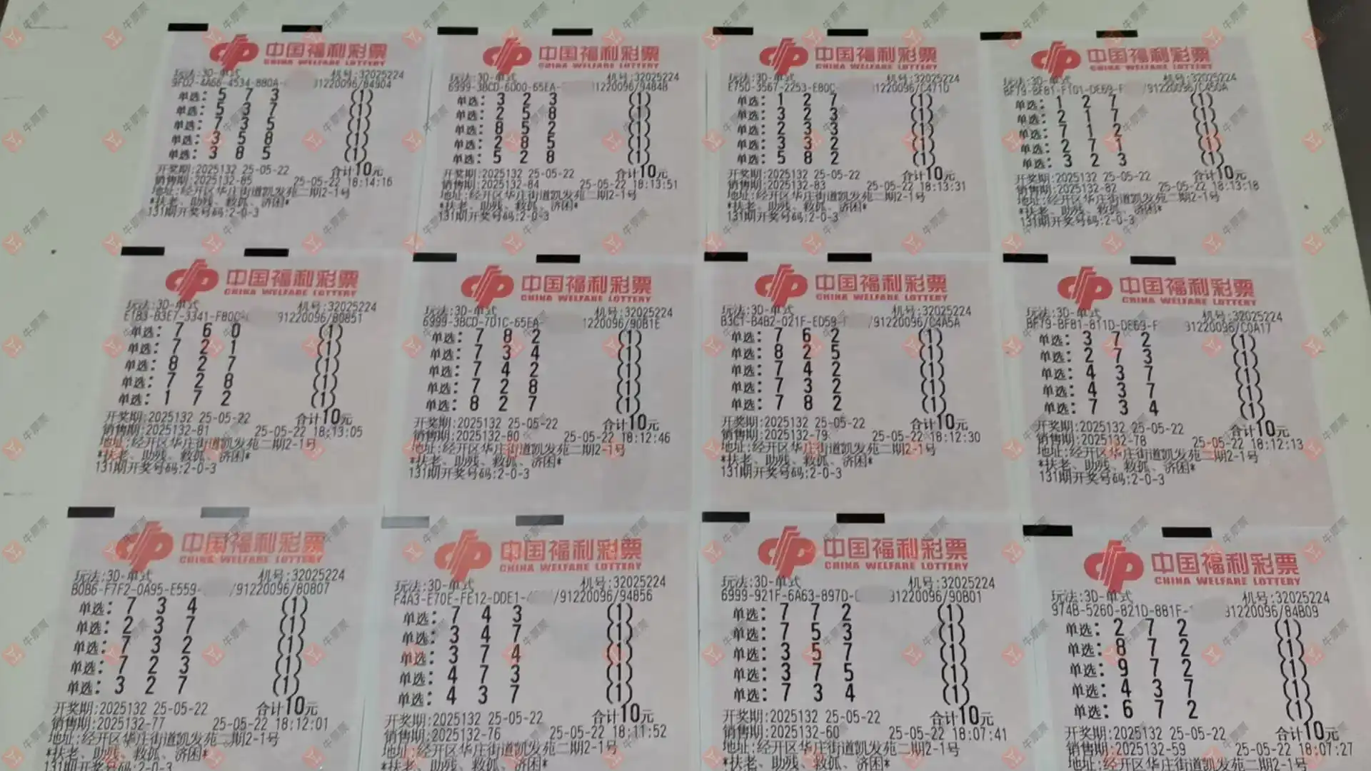 牛票票