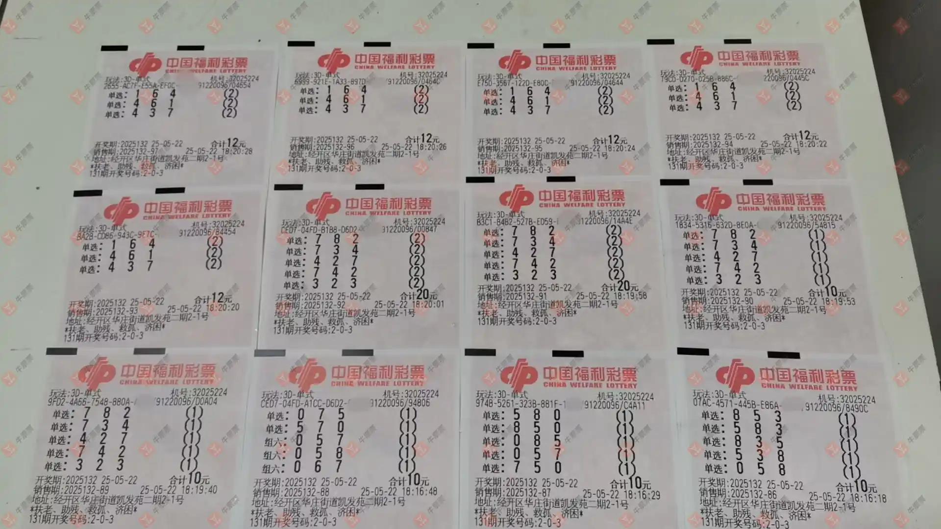 牛票票