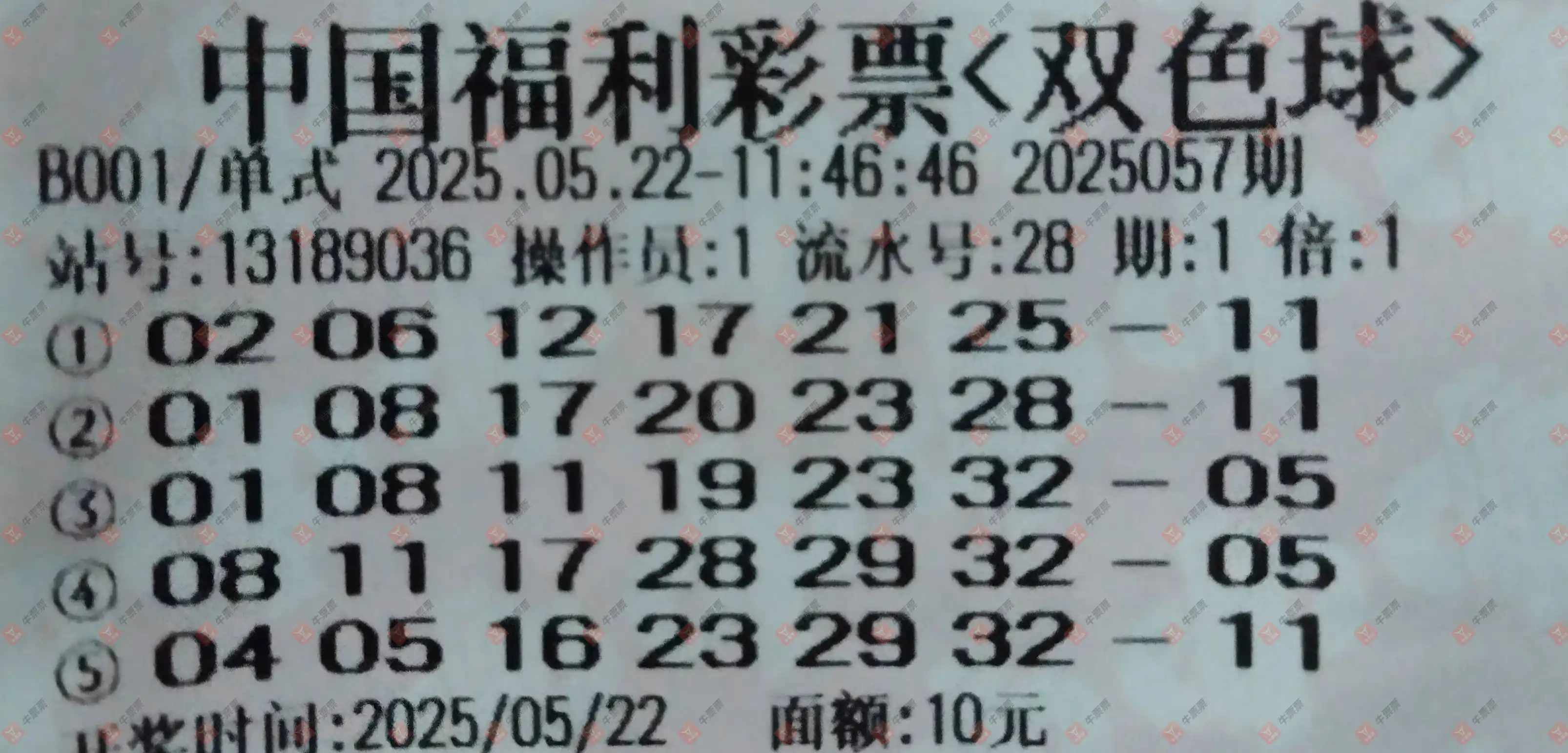 牛票票