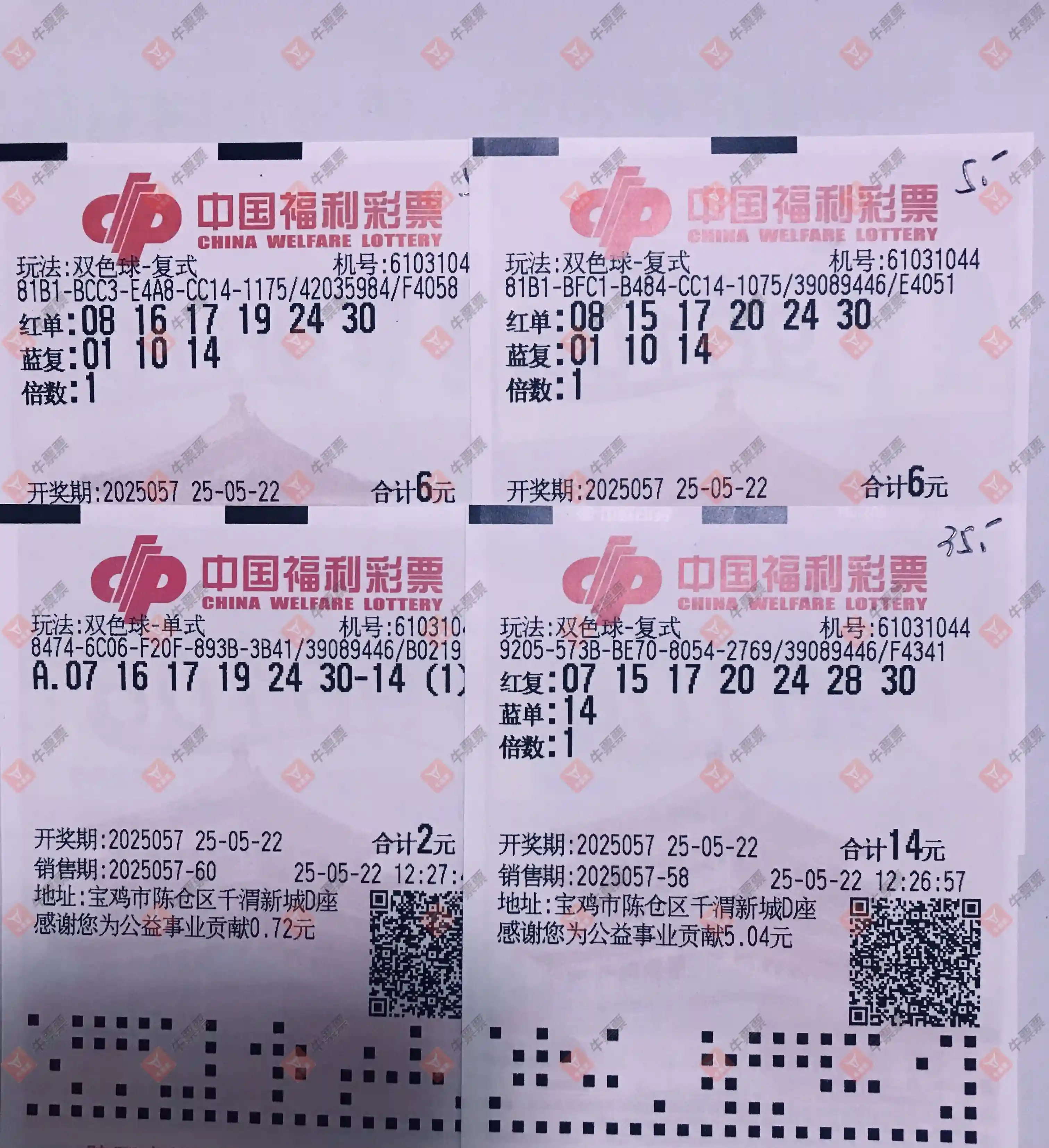 牛票票