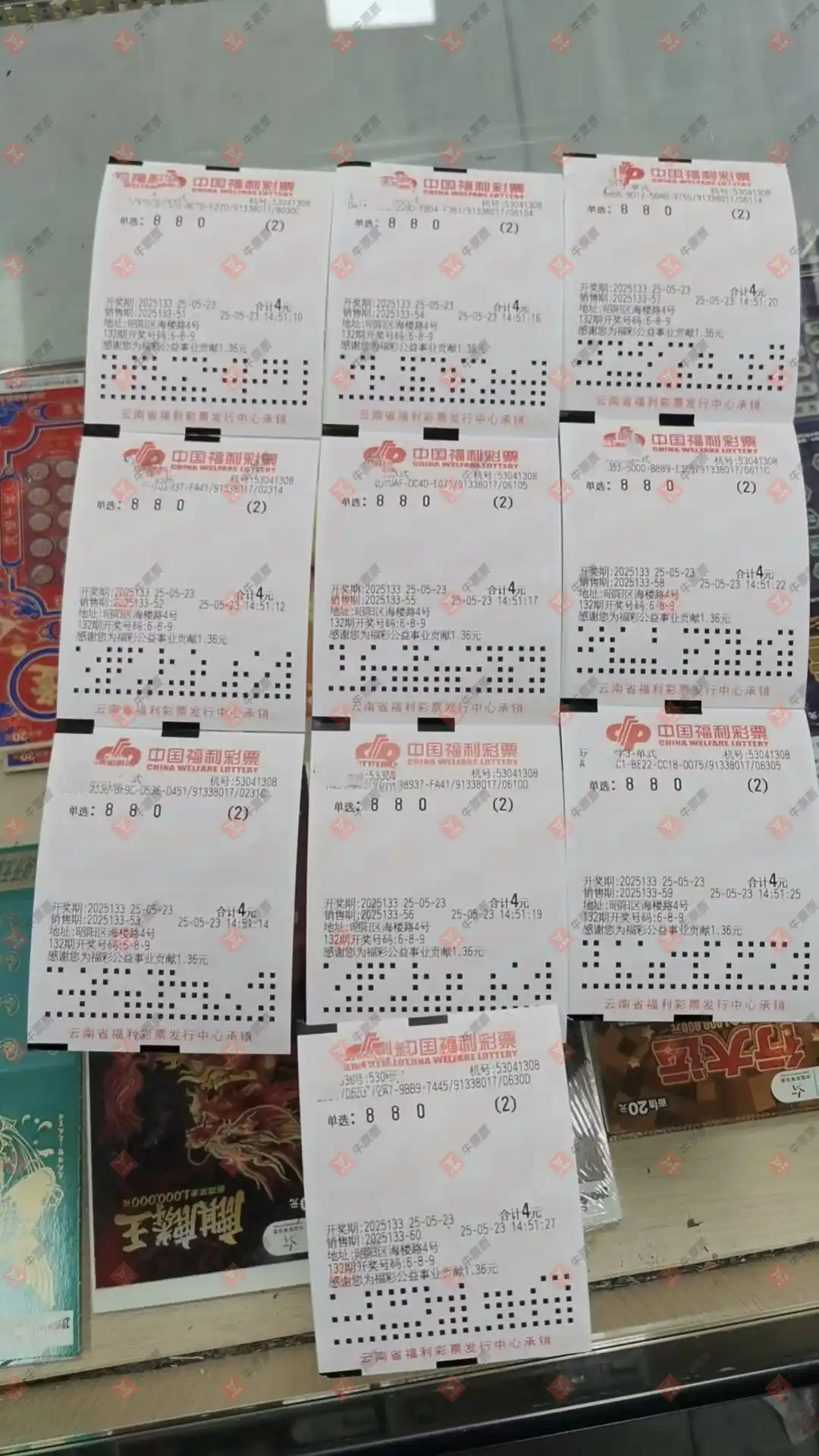 牛票票